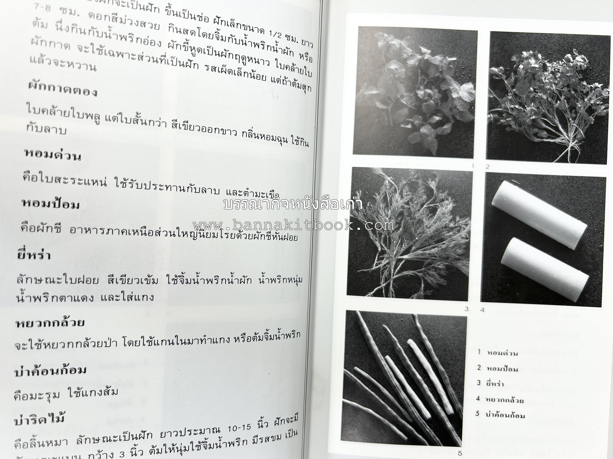 อาหารเหนือ โดย : อาจารย์ศรีสมร คงพันธุ์ (พิมพ์ครั้งแรก).