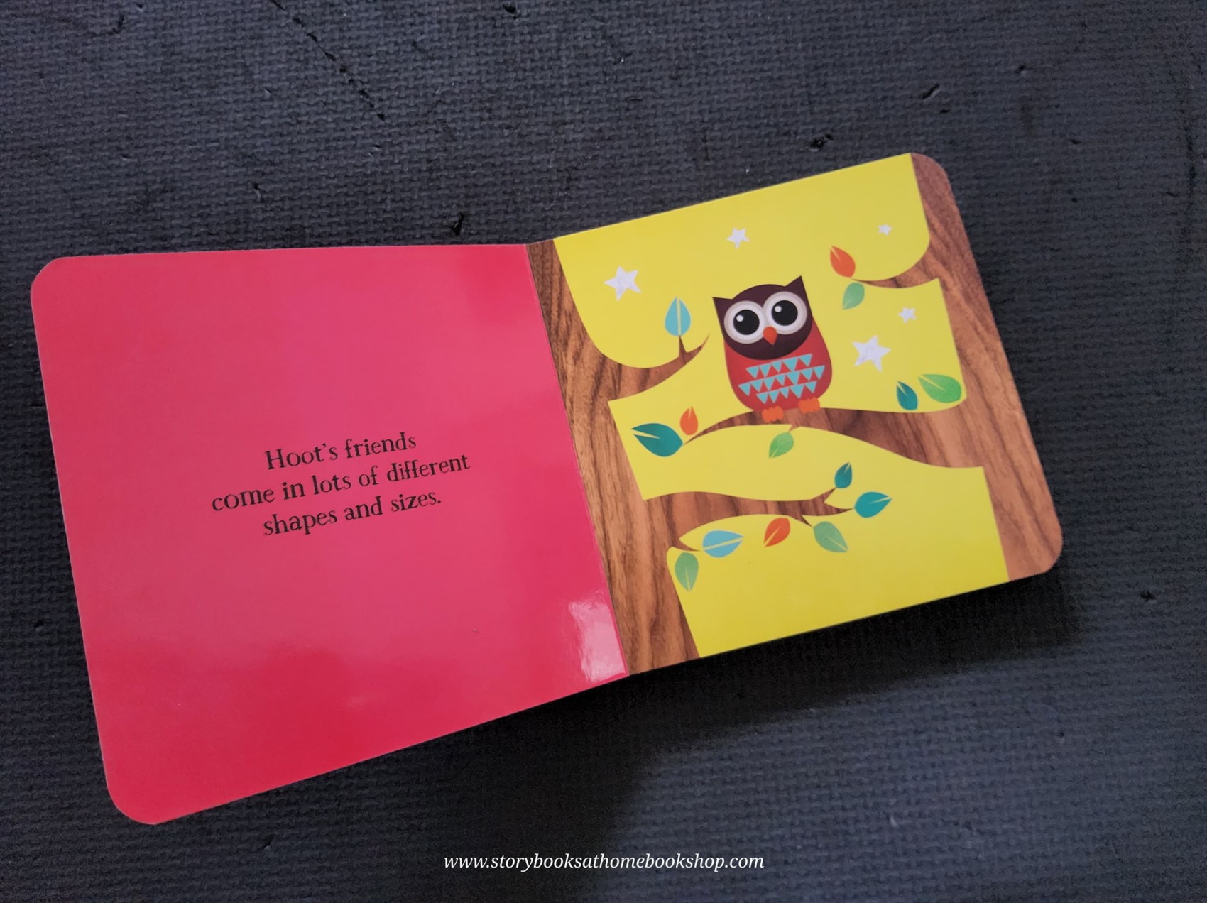 BOARD BOOK** 🍅🍓HOOT'S FIRST BOOK OF THE BODY