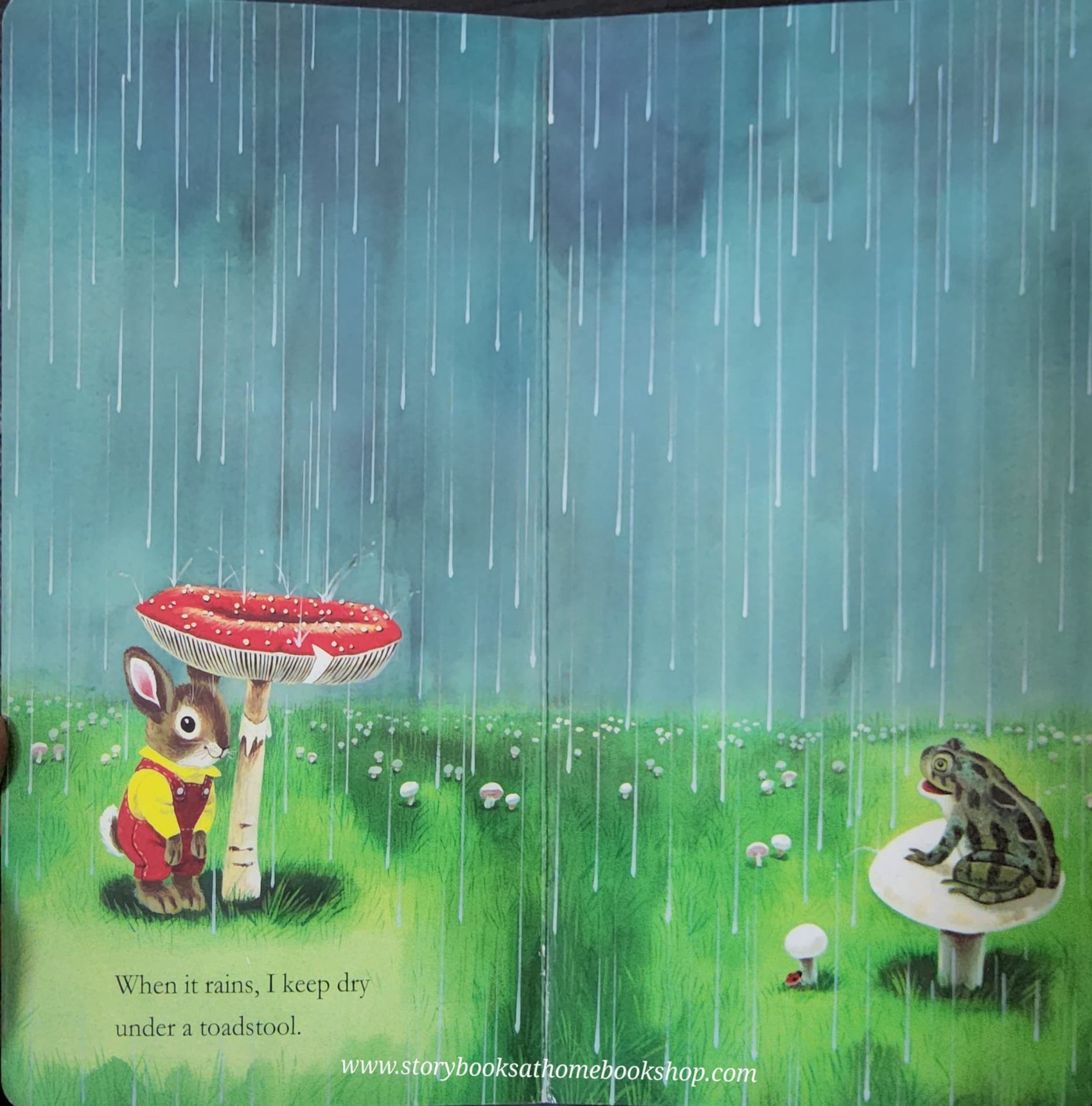 BOARD BOOK** ð
ð
RICHARD SCARRY'S I AM A BUNNY