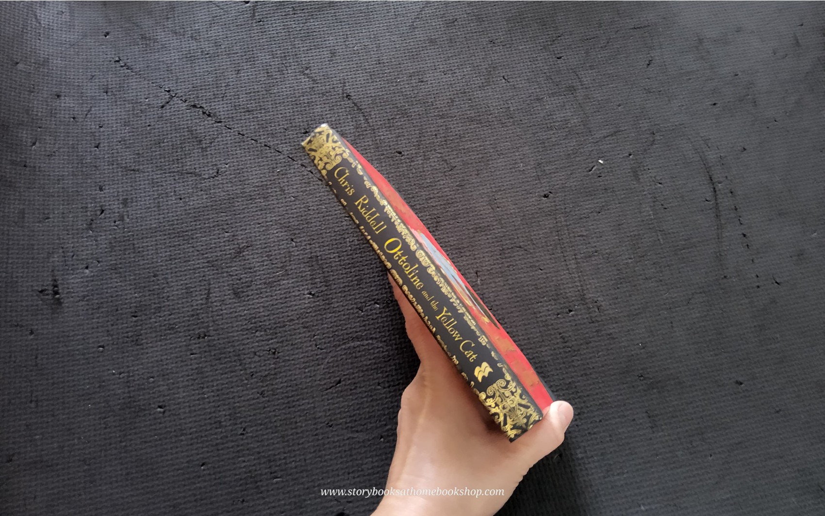 วรรณกรรมเยาวชน** **หนังสือนิทานปกแข็ง** 🍅🍓CHRIS RIDDELL:OTTOLINE AND THE YELLOW CAT