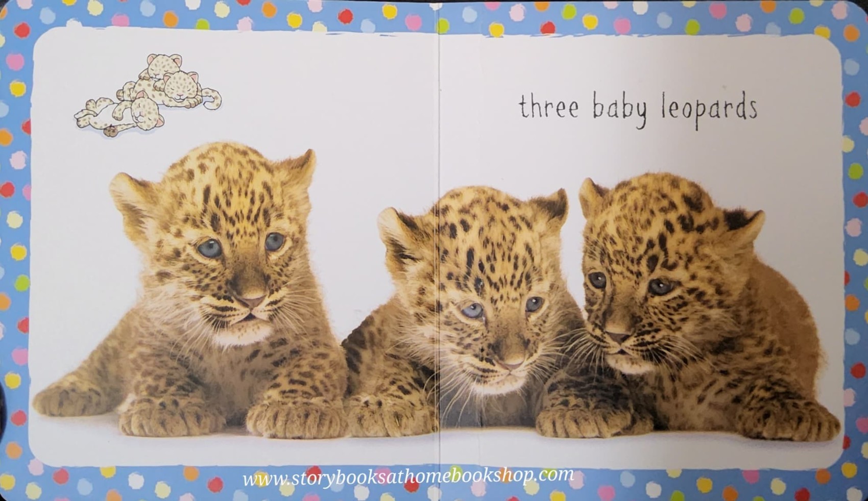 BOARD BOOK** 🍅🍅Baby's very first:Little book of baby animals