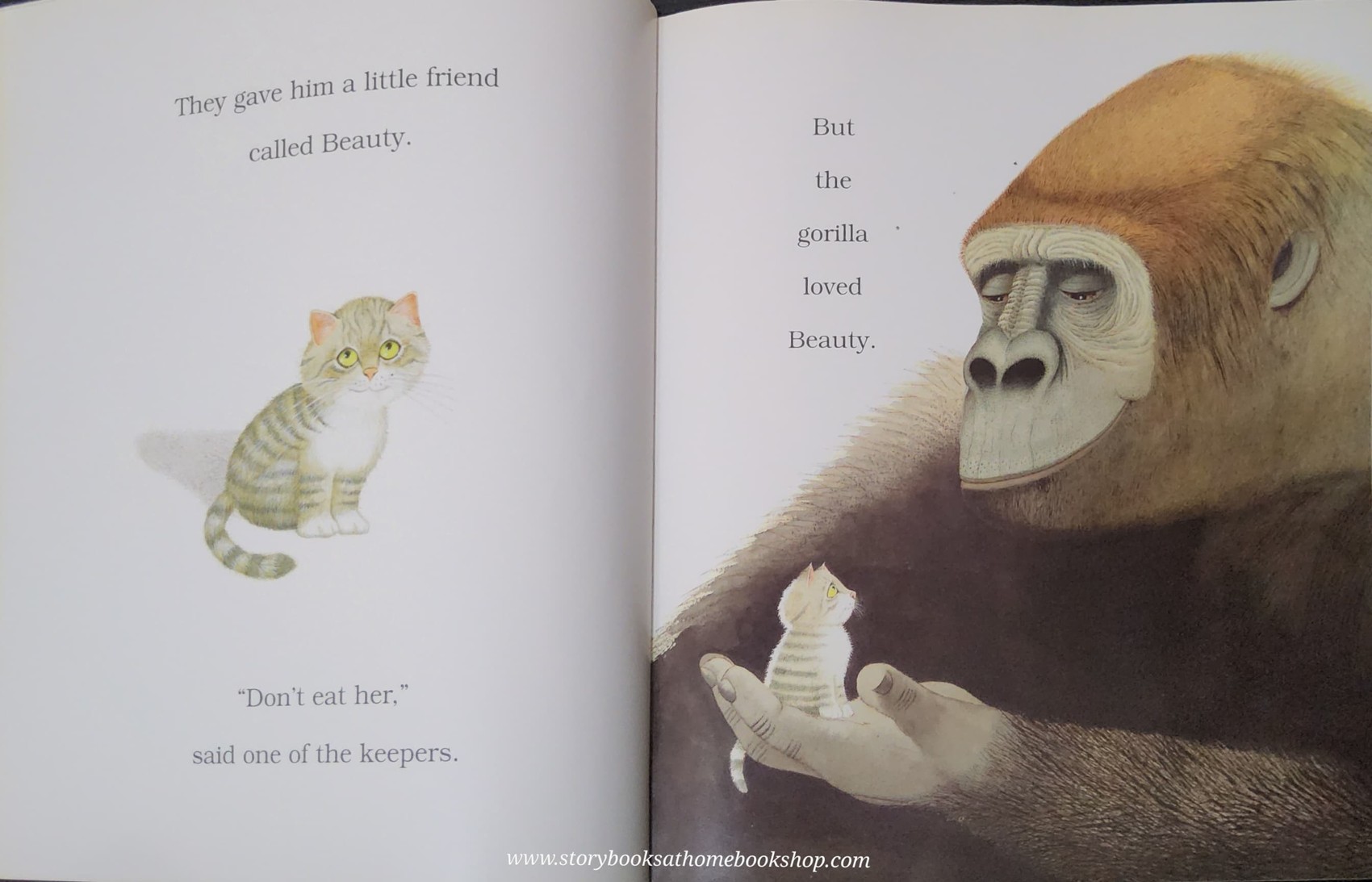 หนังสือนิทานปกอ่อน** 🍅🍓LITTLE BEAUTY BY ANTHONY BROWNE