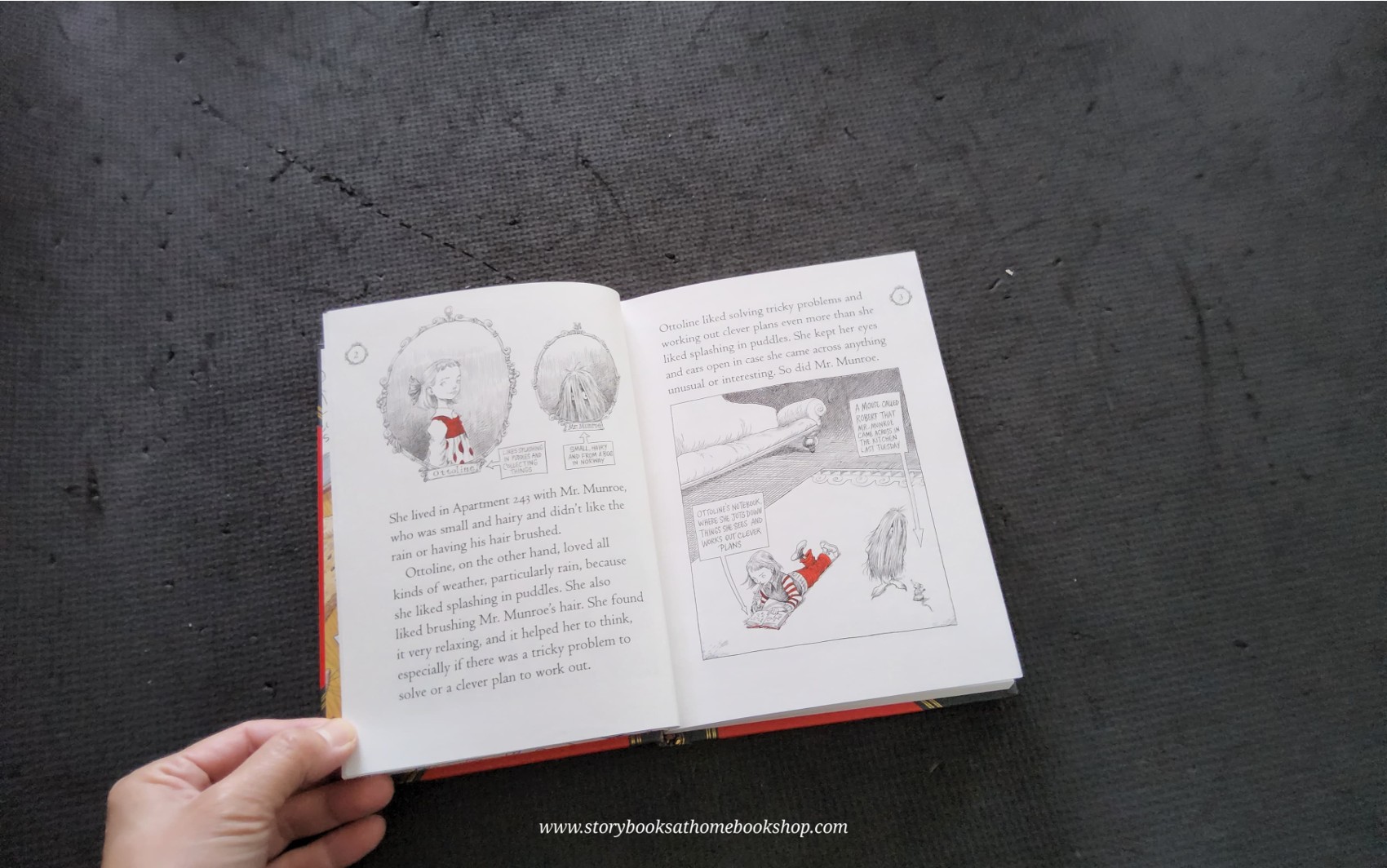 วรรณกรรมเยาวชน** **หนังสือนิทานปกแข็ง** 🍅🍓CHRIS RIDDELL:OTTOLINE AND THE YELLOW CAT