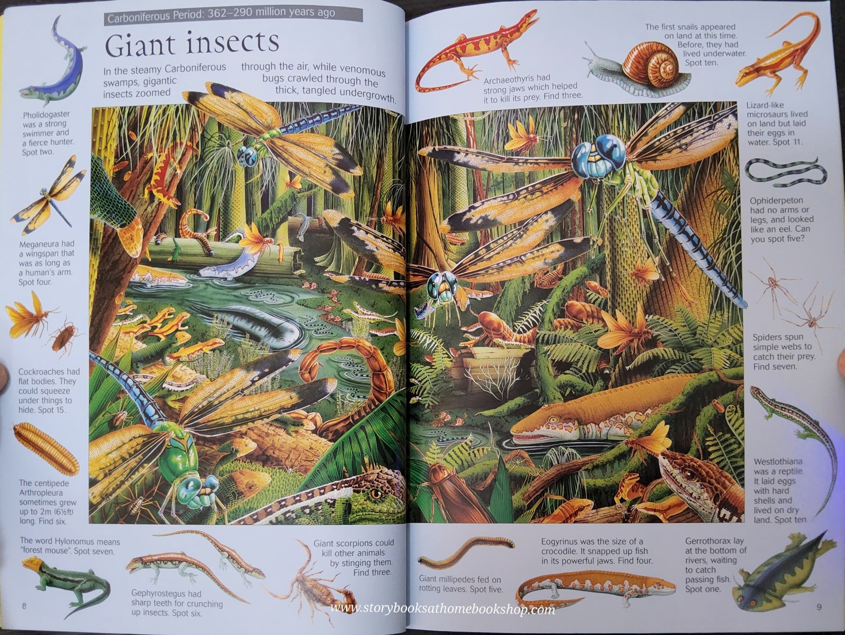 PUZZLE BOOK** ð
USBORNE THE GREAT DINOSAUR SEARCH