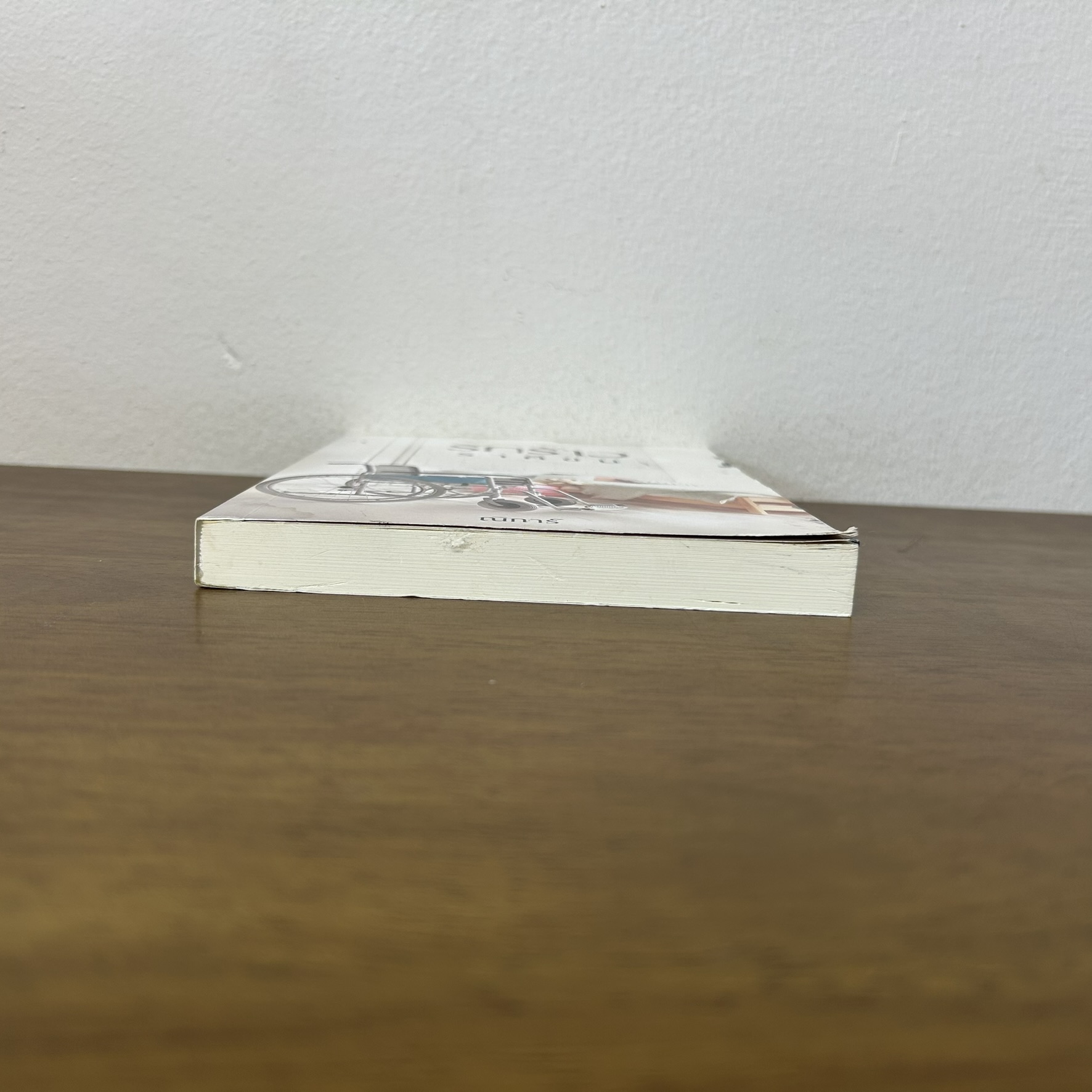 รักร้าวราคีขม ... ณิการ์ (มือสอง) นิยาย โรมานซ์ ทำมือ