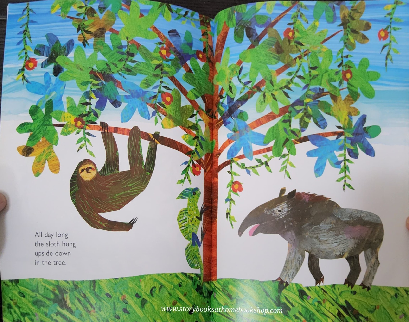 หนังสือนิทานปกอ่อน ** 🍅🍓SLOWLY SLOWLY SLOWLY SAID THE SLOTH BY ERIV CARLE