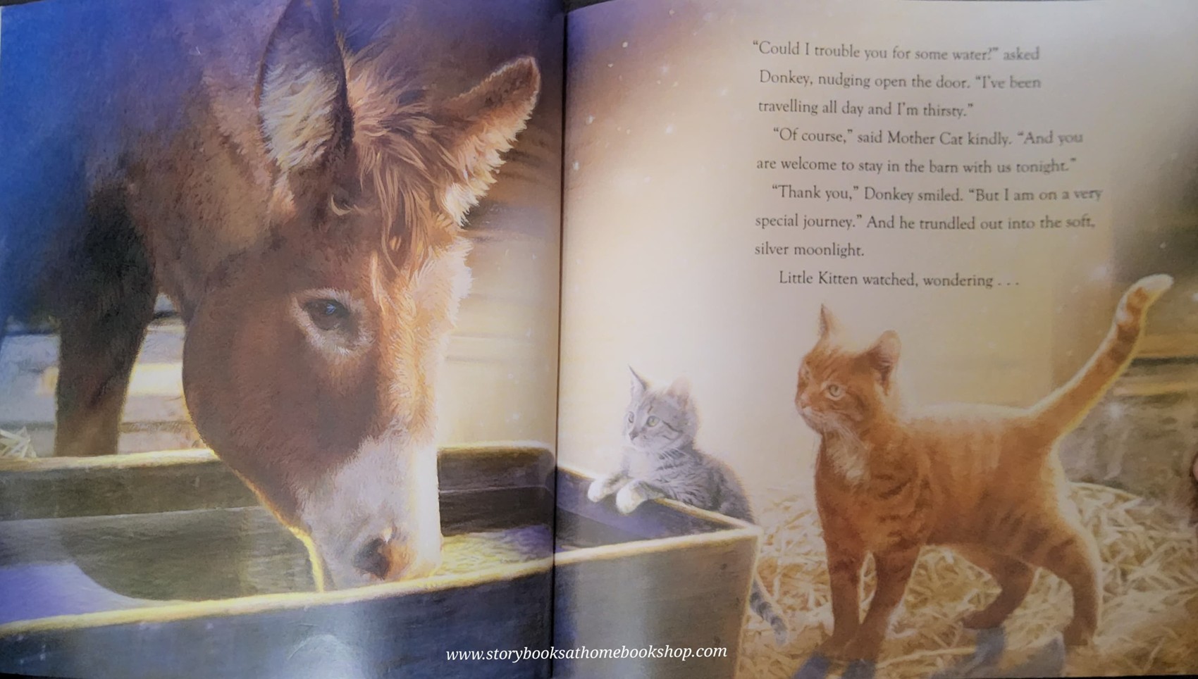 หนังสือนิทานปกอ่อน** 🍅🍓ON THIS SPECIAL NIGHT