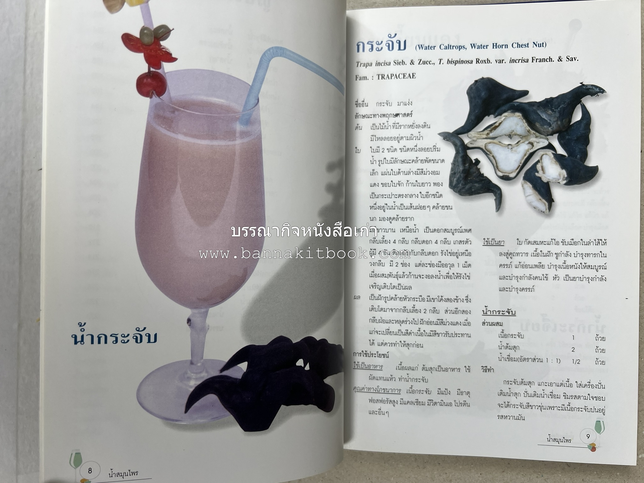 น้ำสมุนไพร 108 สูตร-วิธีทำจากผักพื้นบ้านและผลไม้ไทย โดย สถาบันการแพทย์แผนไทย.