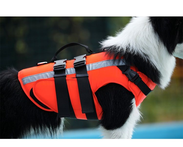 Dog life jacket เสื้อชูชีพสุนัข Size S