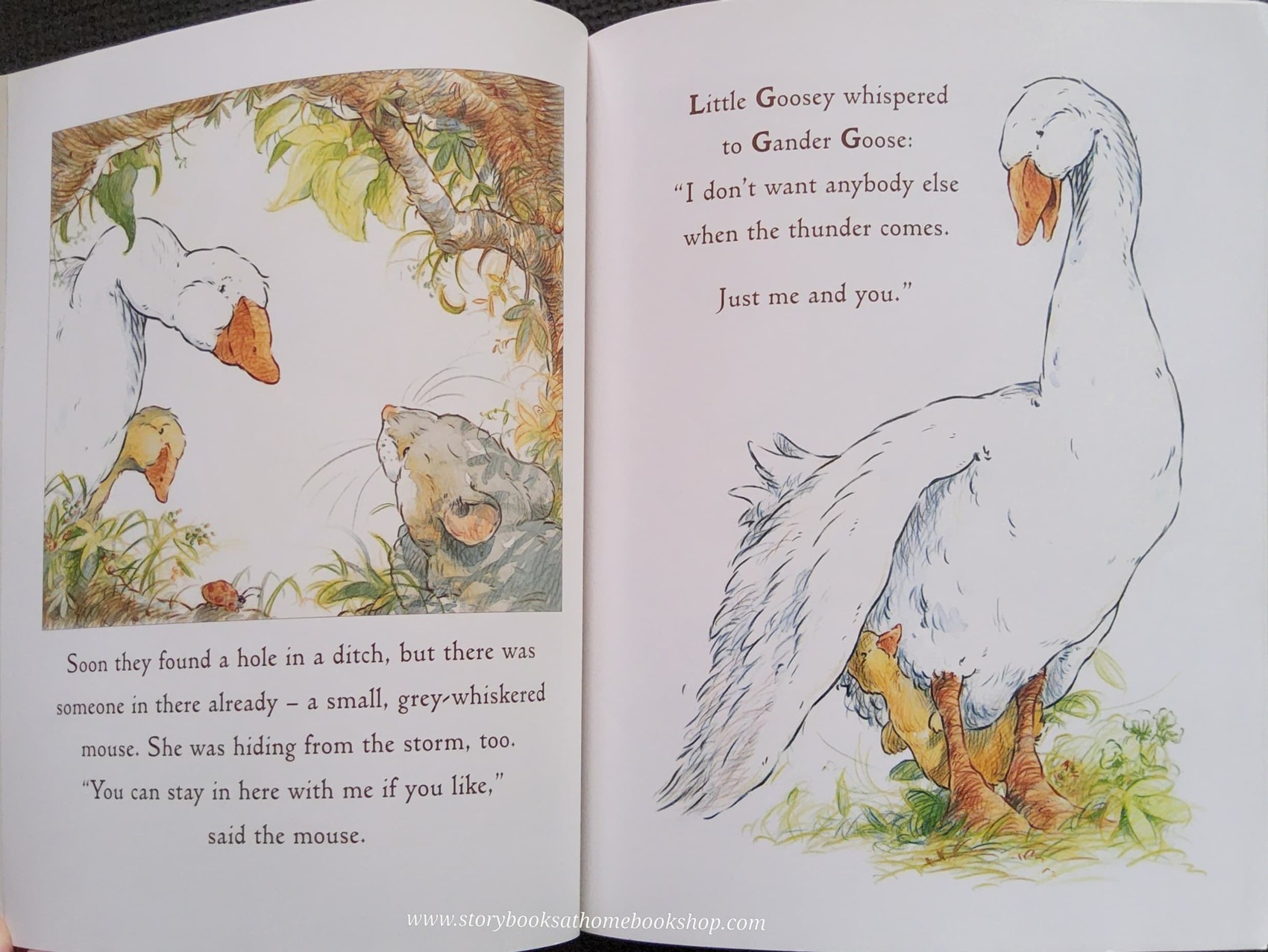 หนังสือนิทานปกอ่อน** 🍅🍅JUST YOU AND ME BY SAM MCBRATANEY