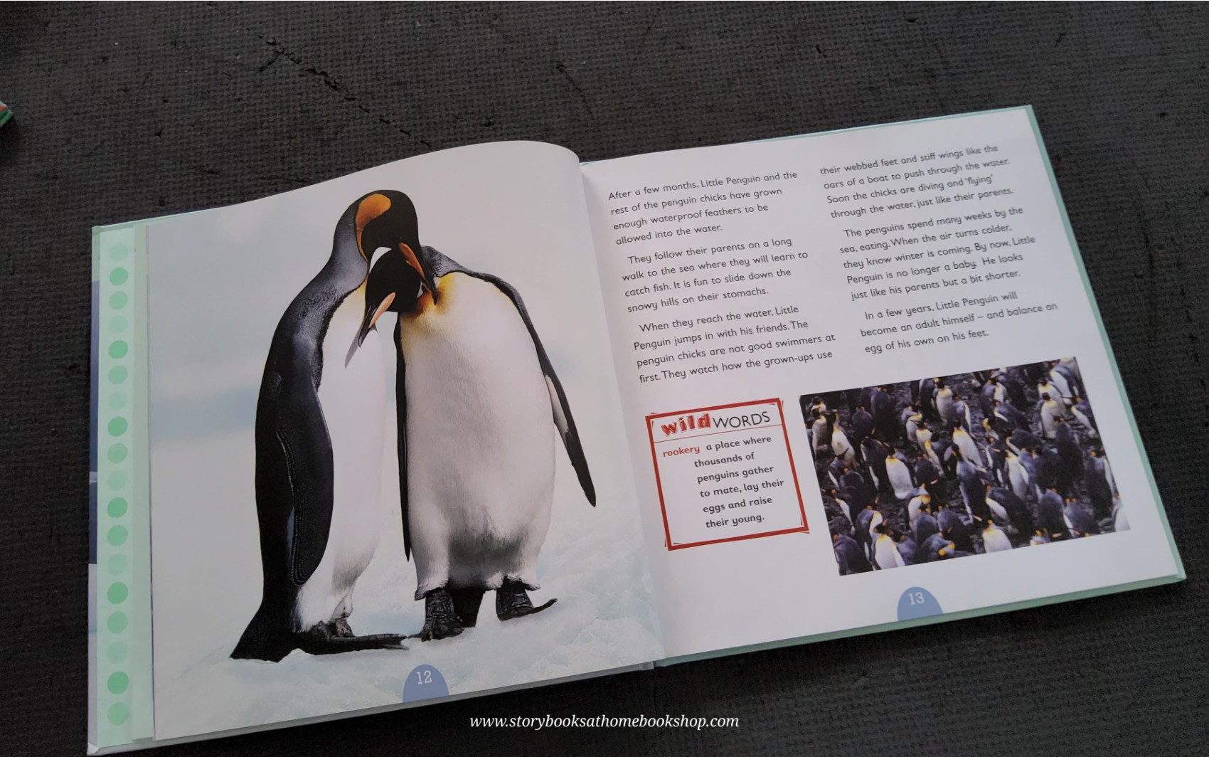 KNOWLEDGE BOOK** ♥️♥️ALL ABOUT ANIMAL:PENGUINS