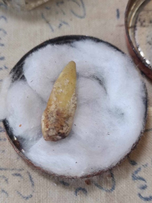 พระทันตธาตุ ครูบาอินตา วัดกู่คำ จ.ลำปาง ได้มาจากพ่อหนานชัย อายุ 75 ปี ปัจจุบันยังมีชีวิตอยู่ (บันทึก พ.ศ.2567) หากว่างจากรับใช้ครูบาอินตา ลุงหนานชัยก็จะไปขายล็อตเตอรี่ ใน อ.เมือง จ.ลำปาง ท่านได้พระทันตธาตุครูบาอินตามาเมื่อปี 2557