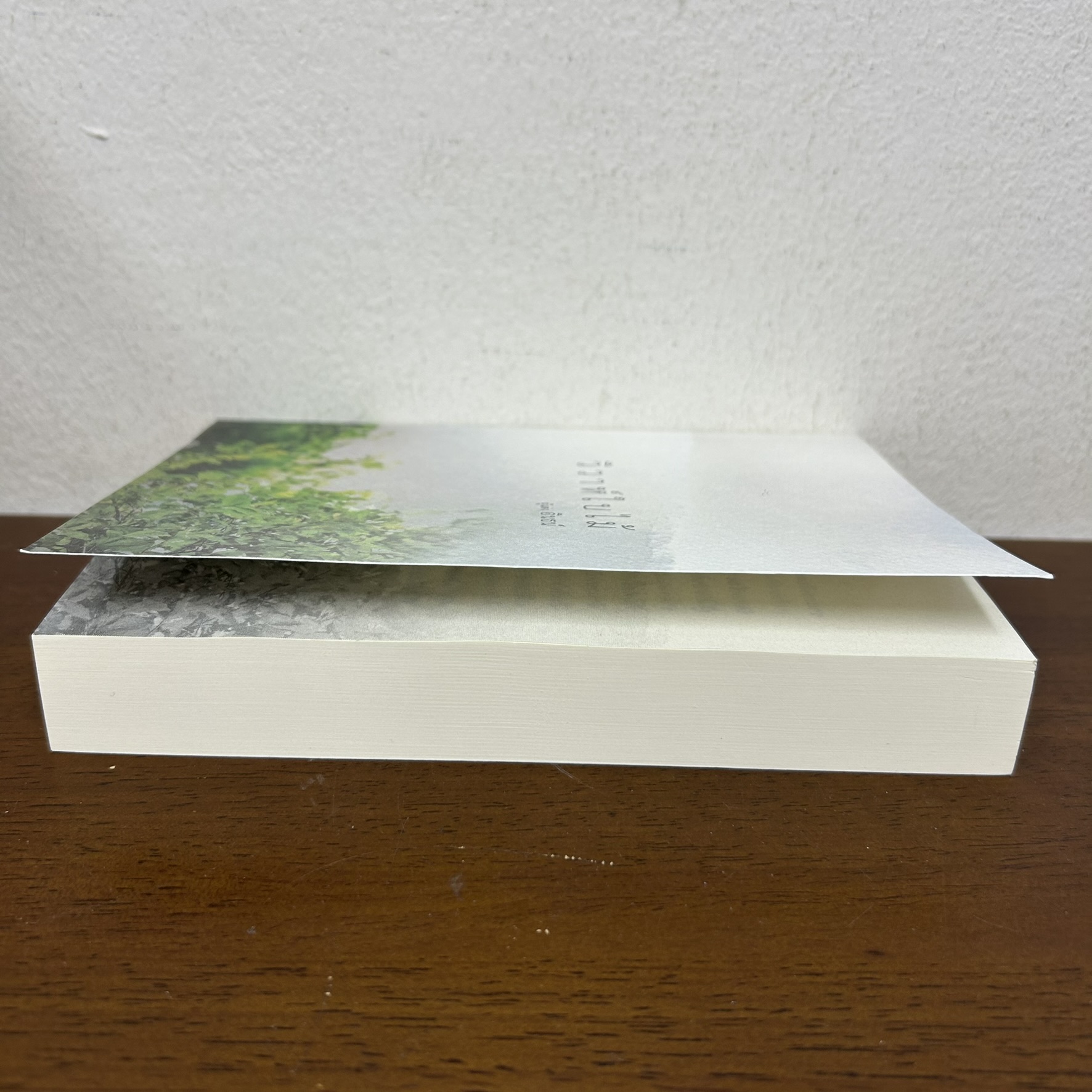 วิวาห์ใบไม้ ... อินธน์ (มือสอง) นิยาย โรมานซ์ ทำมือ