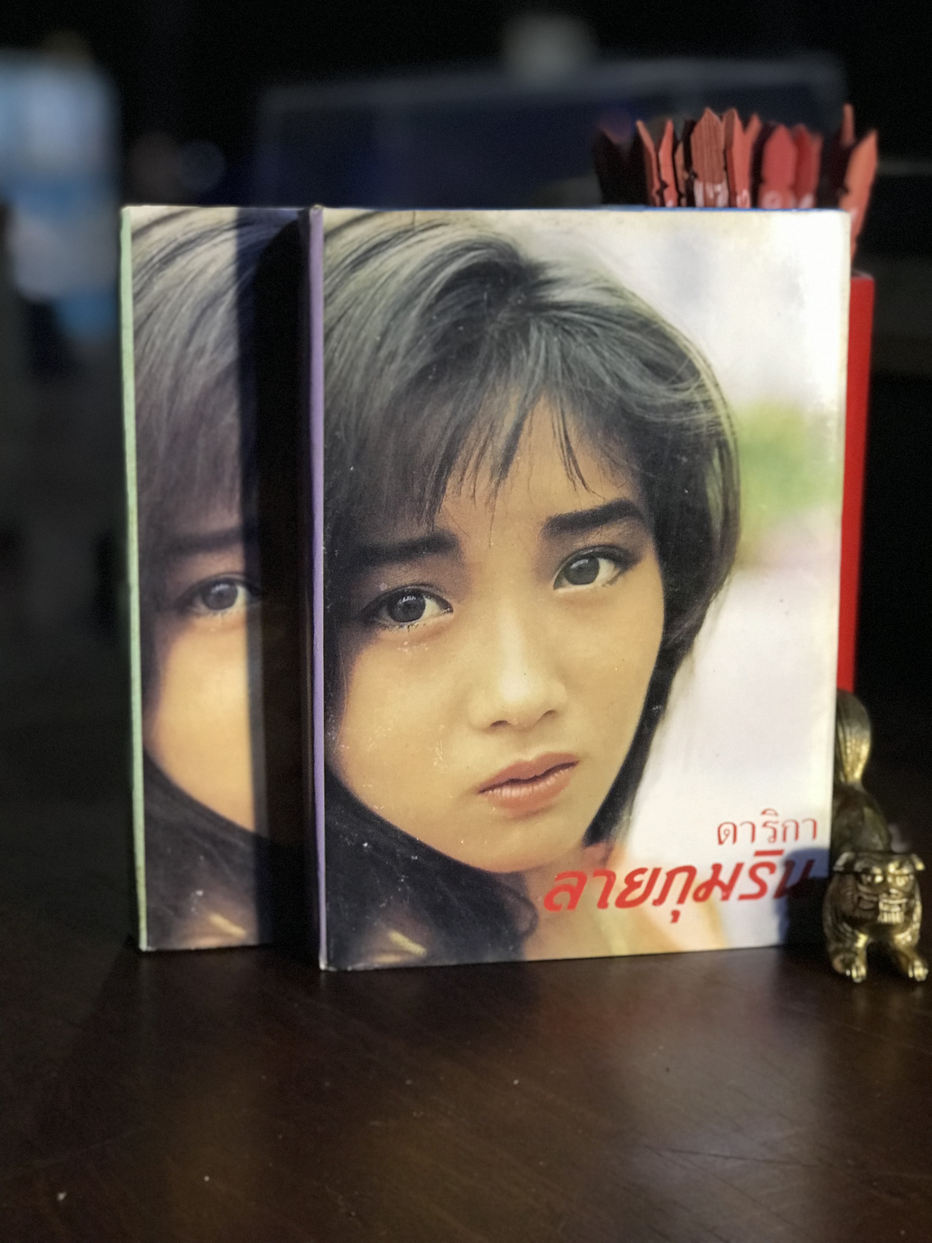 ลายภุมริน ผู้เขียน ดาริกา สำนักพิมพ์บำรุงสาส์น | H9
