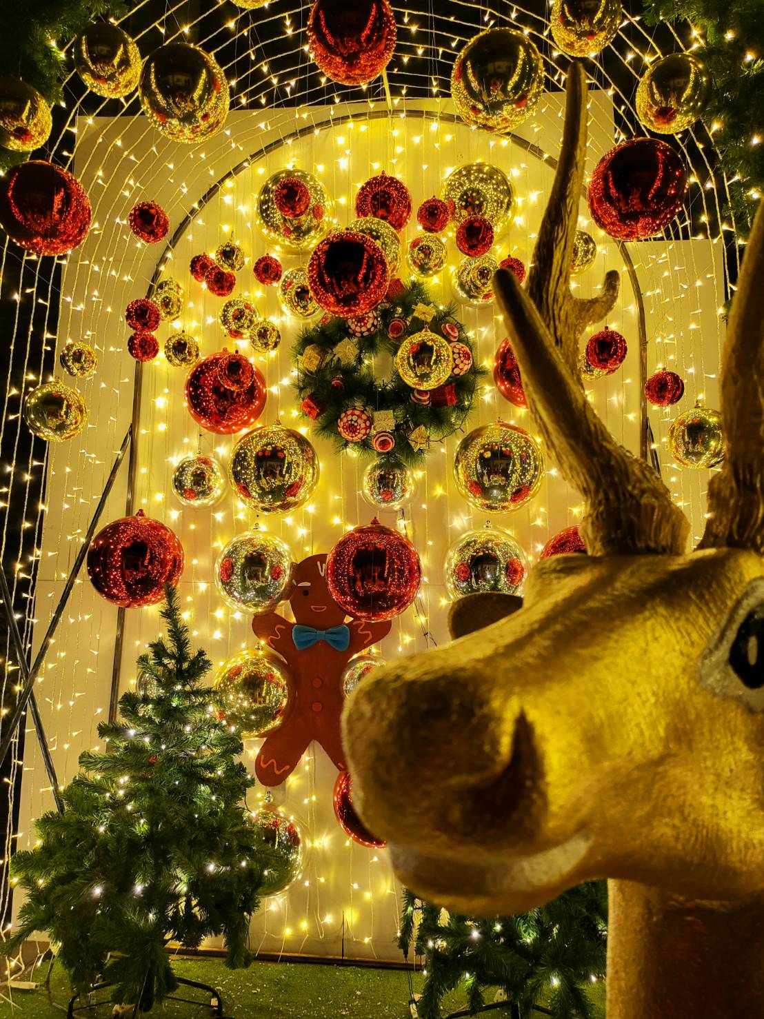 ให้เช่ากวาง3ตัว ขี่หลังได้ Set