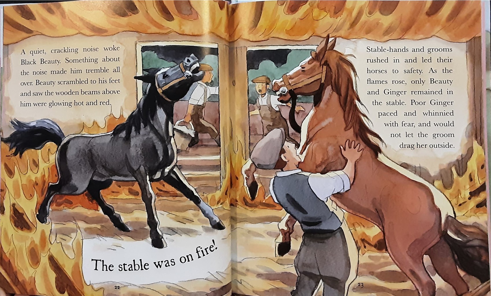 หนังสือนิทานปกแข็ง** 🍅🍓FAVOURITE CLASSICS BLACK BEAUTY