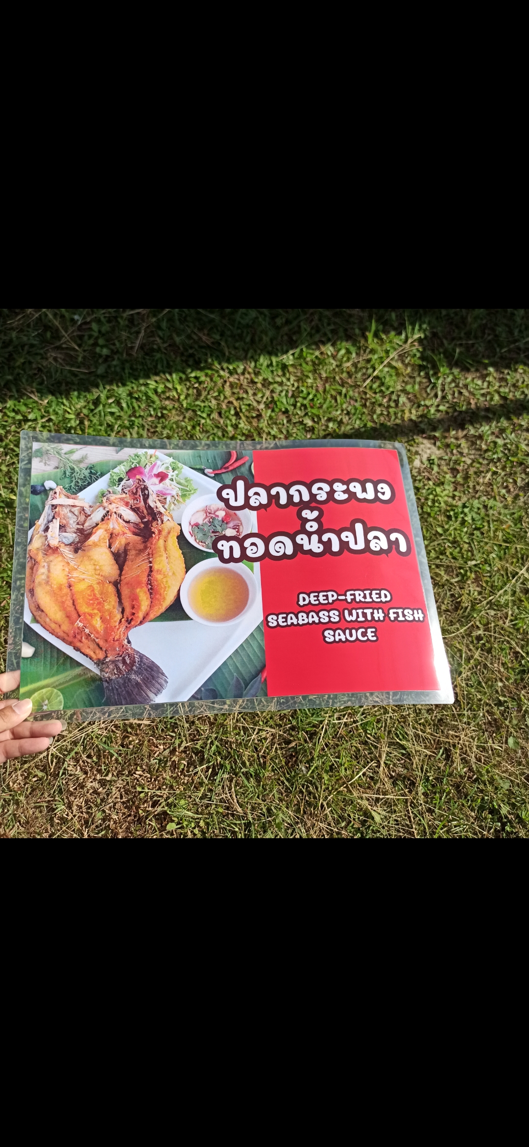 ชุดป้ายเมนู A3 อาหารทะเล 7 แผ่น | ผักบุ้งไฟแดง, กะหล่ำปลีทอดน้ำปลา, ปลากระพงทอดน้ำปลา, ปลากระพงนึ่งมะนาว | เพิ่มยอดขายร้านของคุณทันที! | รหัส 3977
