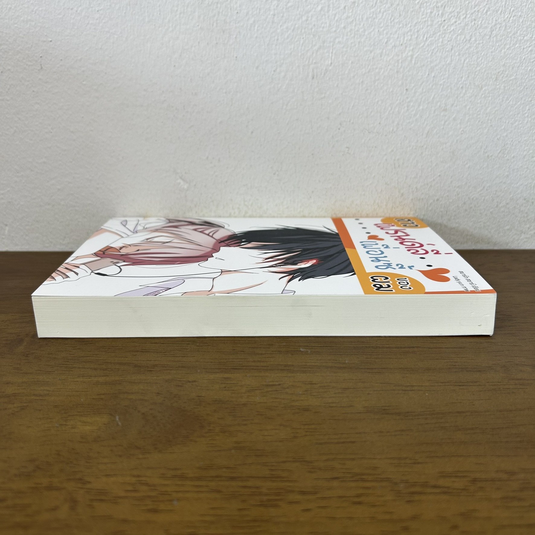 สาวเฟรนด์ลี่เพื่อนซี้ของผม ... สมาร์ท สชาร์ (มือสอง) นิยาย โรแมนติก ทำมือ