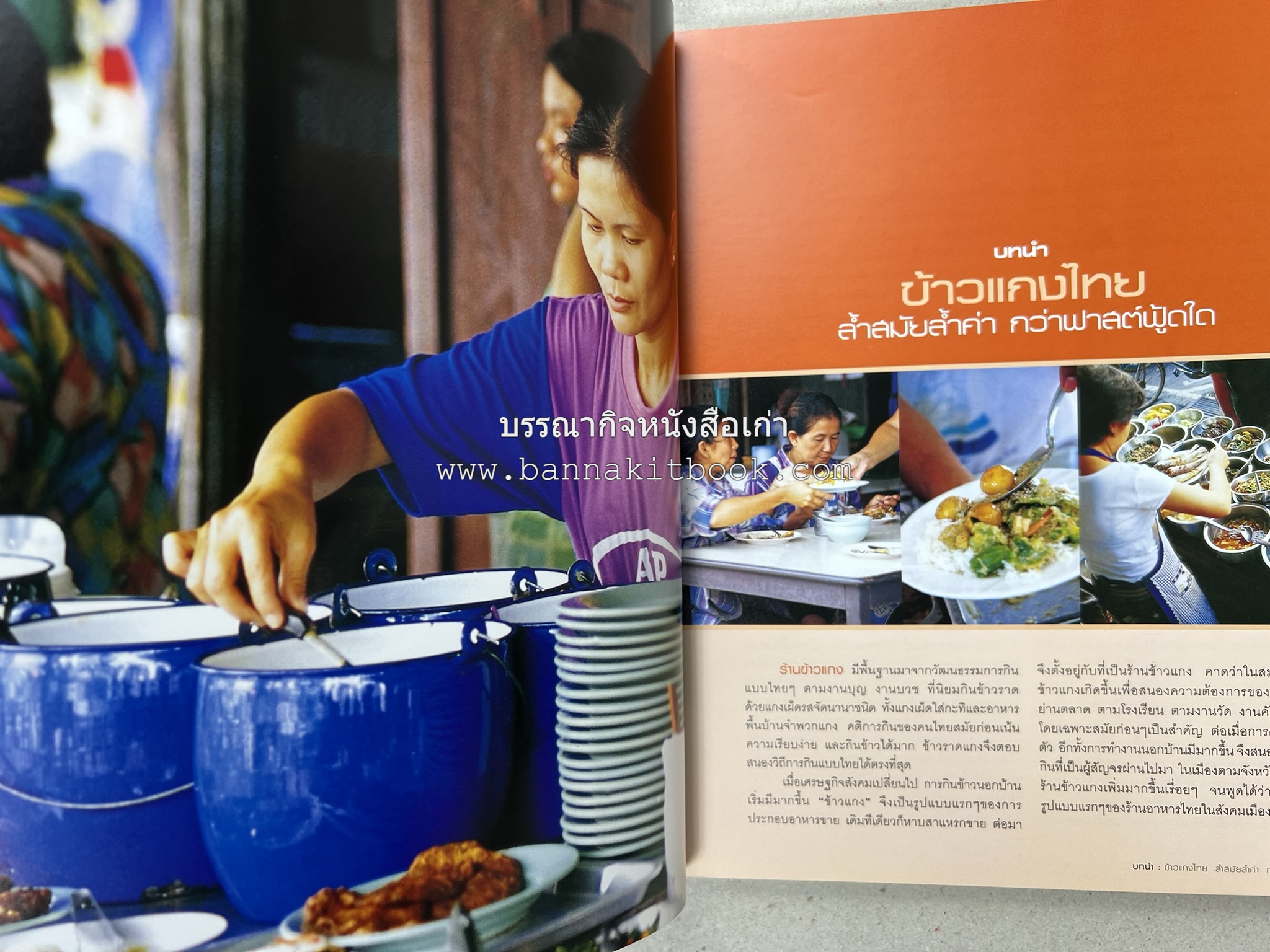 ข้าวแกงเป็นอาชีพ โดย : สำนักพิมพ์แสงแดด.