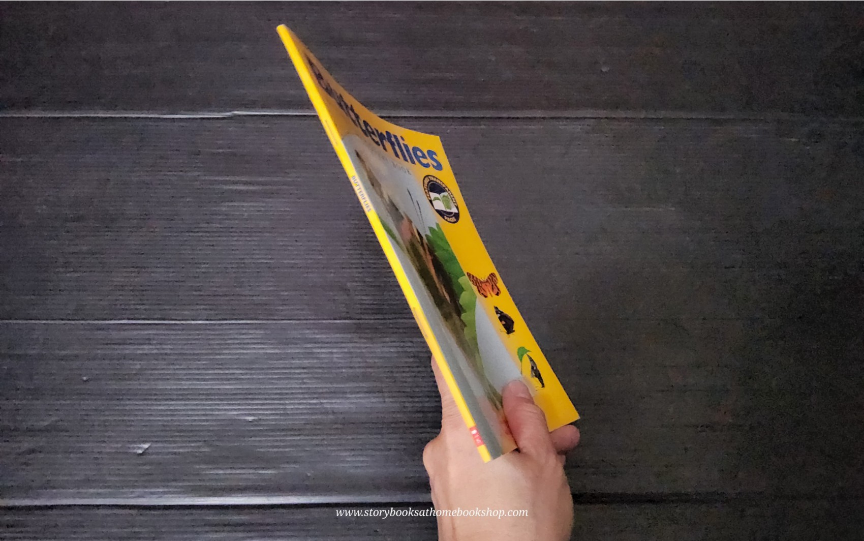 KNOWLEDGE BOOK WITH FEATURES TRANSPARENT PAGES** ð
ðBUTTERFLIES A FIRST DISCOVERY BOOK