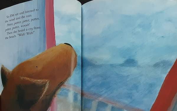 หนังสือนิทานปกอ่อน ** 🍅🍓 Ebb and Flo and the Baby seal by Jane Simmons