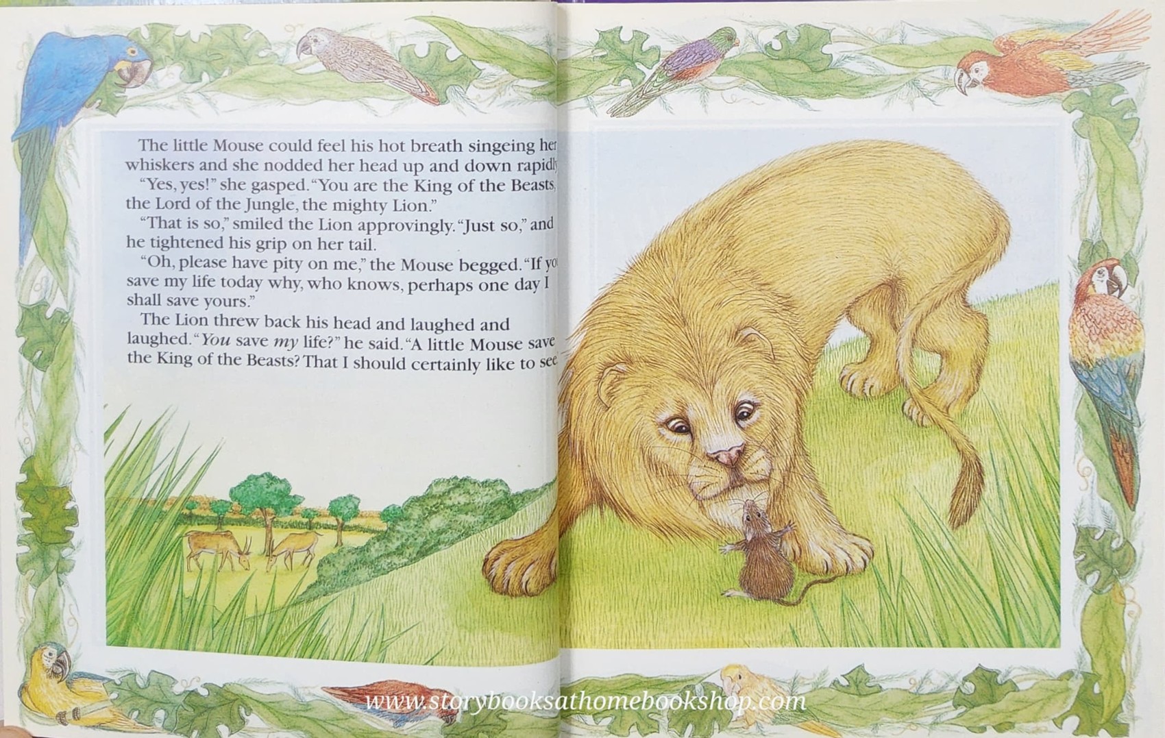 หนังสือนิทานปกแข็ง** 🍅🍓AESOP'S FABLES