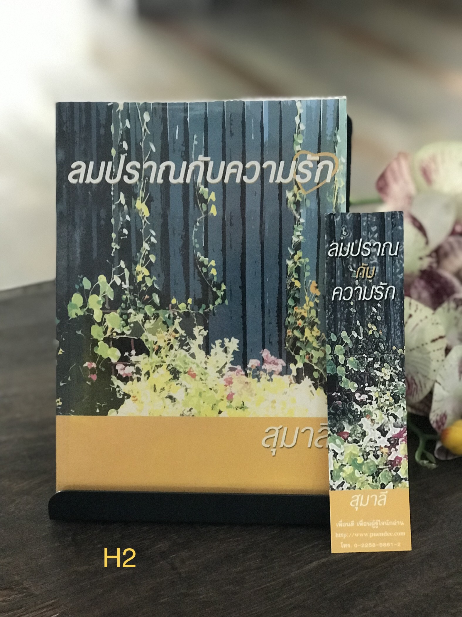 ลมปราณกับความรัก ผู้เขียน สุมาลี สำนักพิมพ์เพื่อนดี