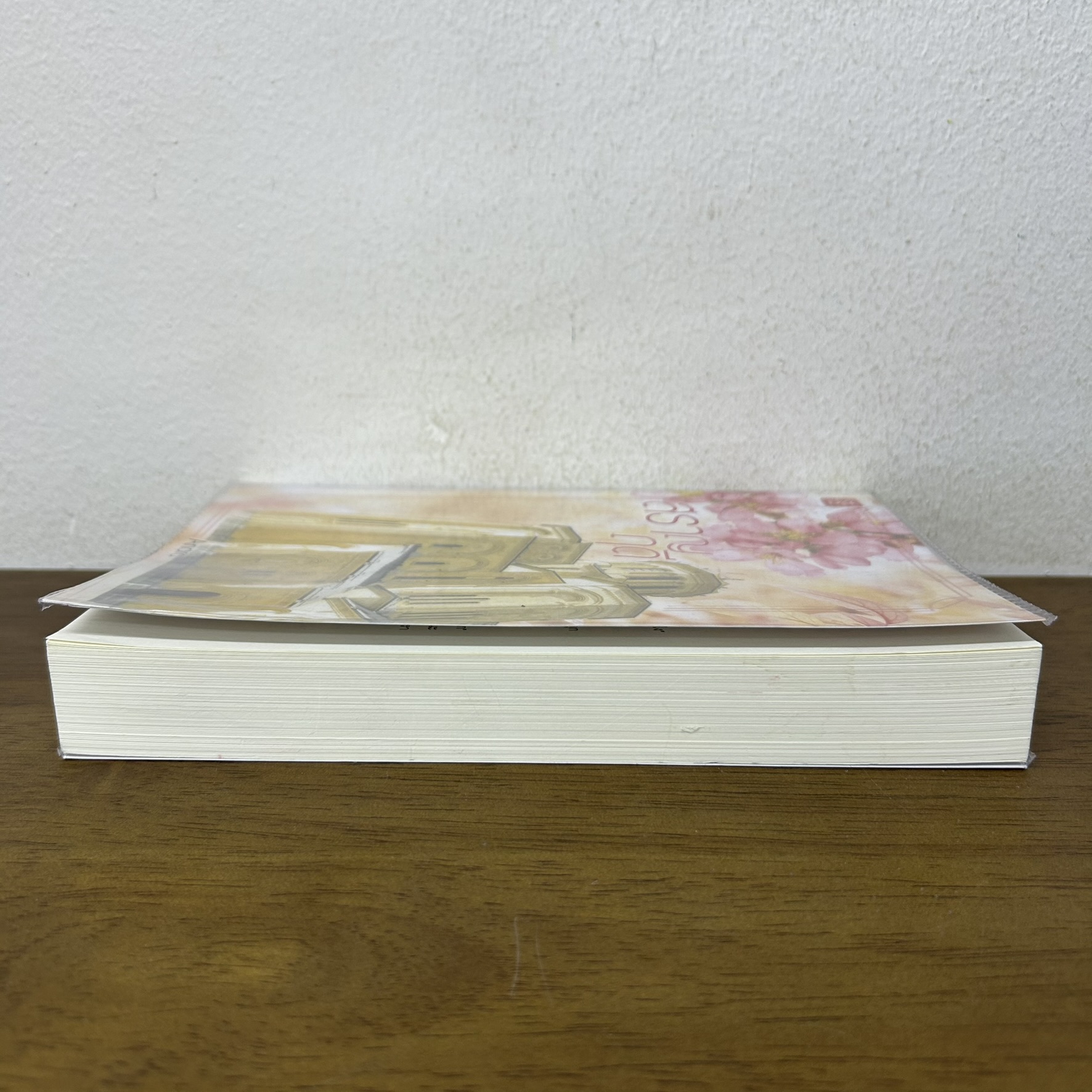 สราญฤดี ... Andra (มือสอง) นิยาย นิยายรัก โรแมนติก แจ่มใส