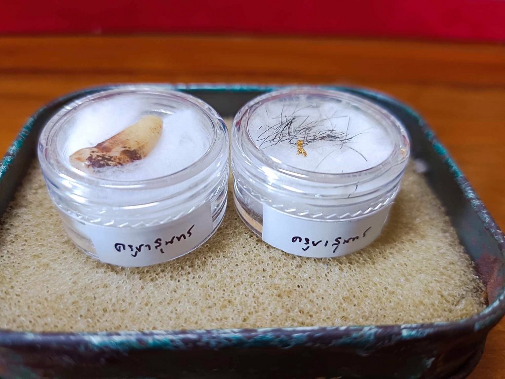 พระทันตธาตุ พระเกศา ครูบาสุนทร วัดป่าป่วย อ.บ้านโฮ่ง จ.ลำพูน เจ้าของเดิม ชื่อคำแสน อดีตผู้ใหญ่บ้าน บ้านสันตับเต่า อ.บ้านโฮ่ง จ.ลำพูน บ้านลุงคำแสนอยู่ห่างจากวัดไม่มาก อายุ 74 ปี (บันทึก พ.ศ. 2567) ท่านจำได้แต่ว่าได้มาหลายสิบปีแล้ว แต่จำ พ.ศ.ไม่ได้