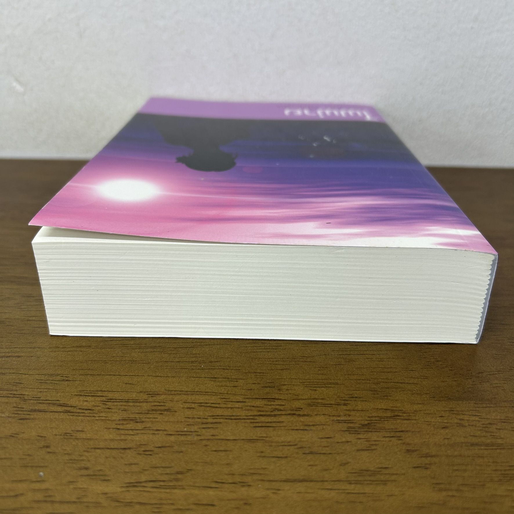 ไฟพ่าย ... กฤษณา อโศกสิน (มือสอง) นิยาย โรแมนติก แสงดาว