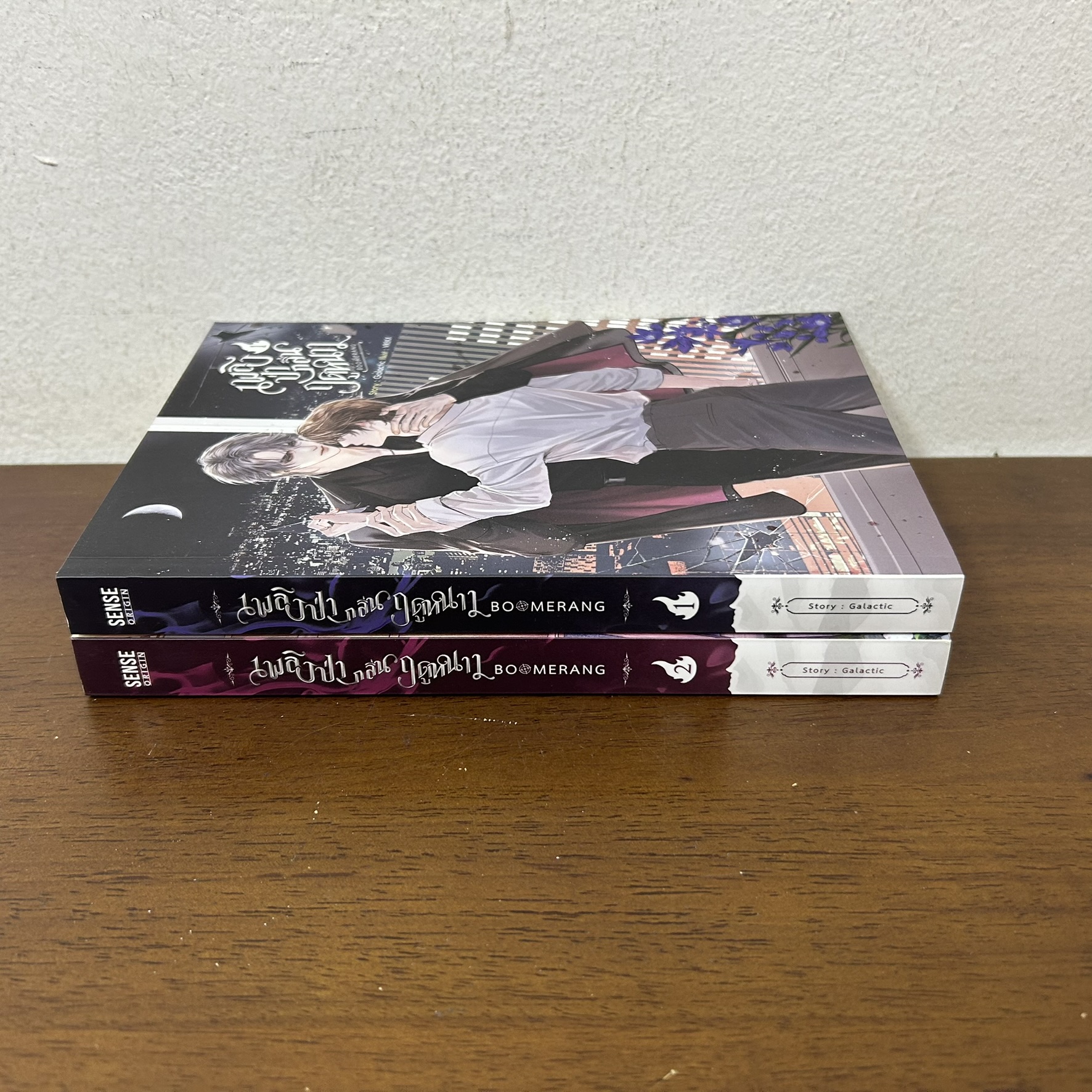 [YAOI] Boomerang เพลิงป่ากลิ่นฤดูหนาว เล่ม 1-2 จบ ครบชุด ... Galactic (มือสอง) นิยายวาย SENSE