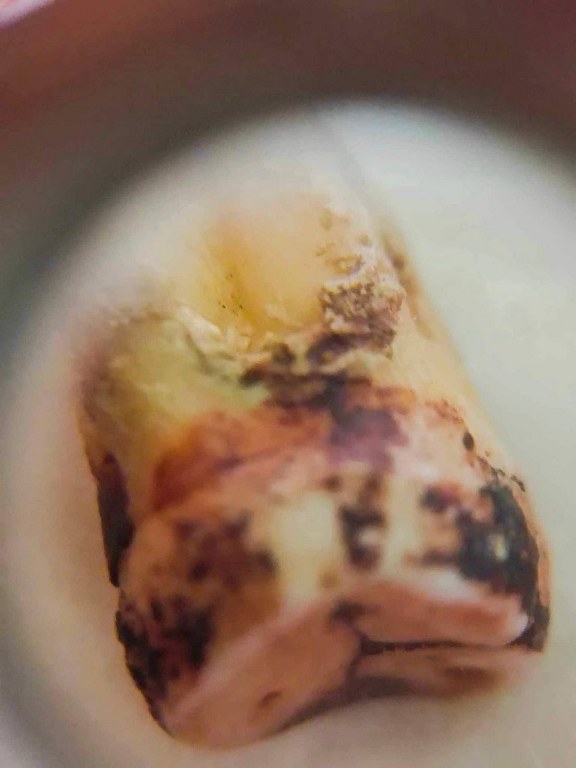 พระทันตธาตุ ครูบาเจ้าเลย วัดป่าบงงาม ต.โป่งงาม อ.แม่สาย จ.เชียงราย เดิมเป็นขอคุณลุงสงวน เคยรับใช้ครูบาเจ้าเลย ขับรถรับส่งครูบาเจ้าไปโรงพยาบาลและสถาน ที่ต่าง ๆ คุณสงวนอยู่บ้านป่าเหมือด อ.แม่สาย จ.เชียงราย ปัจจุบันคุณลุงสงวนเสียชีวิตแล้วตั้งแต่ปี 2558