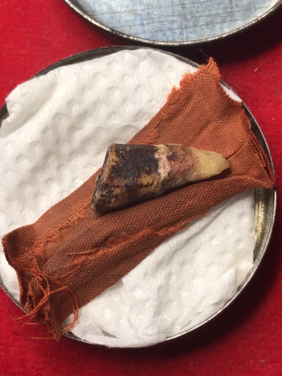 พระทันตธาตุครูบาสองเมือง วัดหล่ายแก้ว อ.บ้านโฮ่ง จ.ลำพูน พระอนันต์ เป็นศิษย์ครูบาสองเมือง ท่านสิ้นชีวิตแล้วเมื่อปี 2539 หากมีชีวิตอยู่ปัจจุบันจะมีอายุ 88 ปี (บันทึก พ.ศ.2566) ได้มอบให้ สจ.บอย อายุ 48 ปี อยู่หมู่บ้านเรือน อ.ป่าซาง จ.ลำพูน