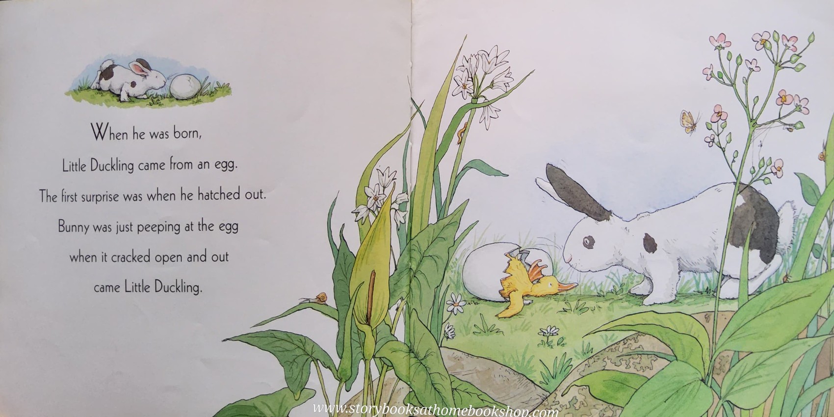 หนังสือนิทานปกอ่อน** 🍅🍓ALL TOGETHER NOW BY ANITA JERAM