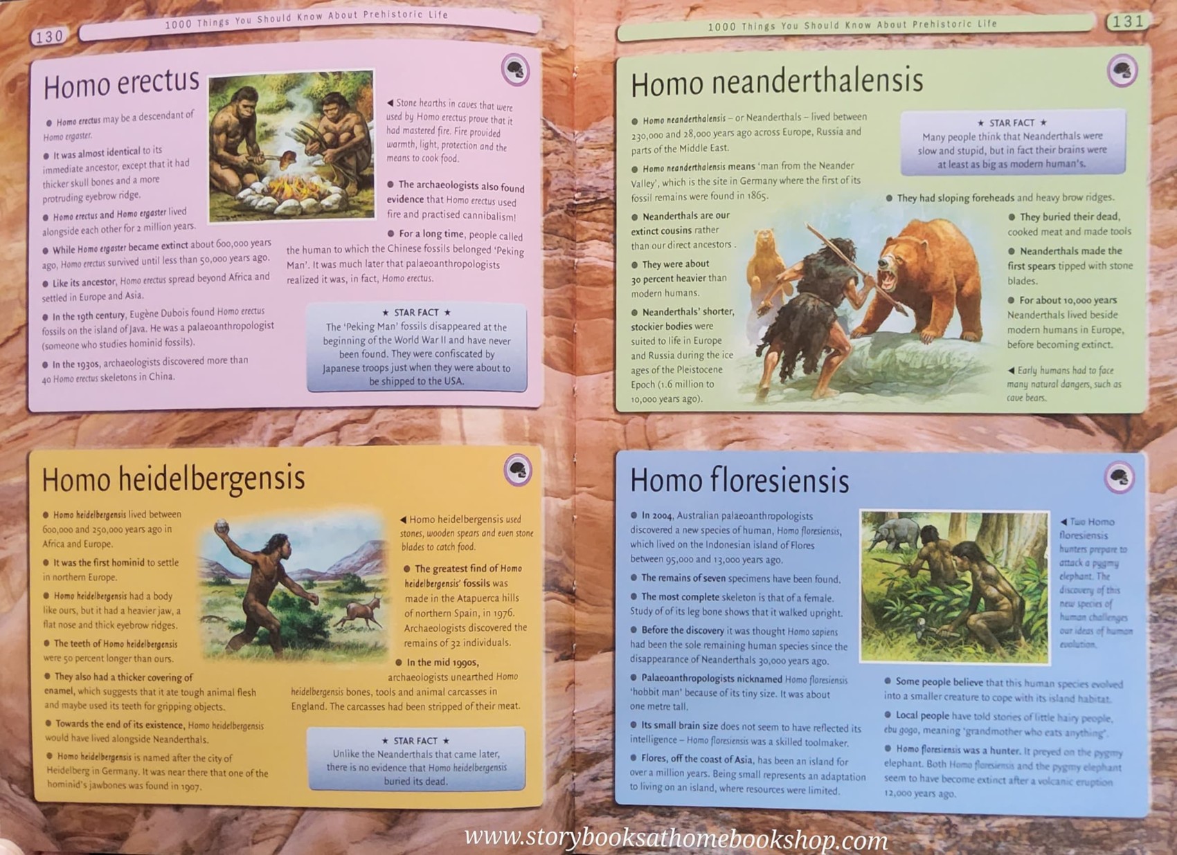 KNOWLEDGE BOOK** ♥️8000 AWESOME THINGS YOU SHOULD KNOW