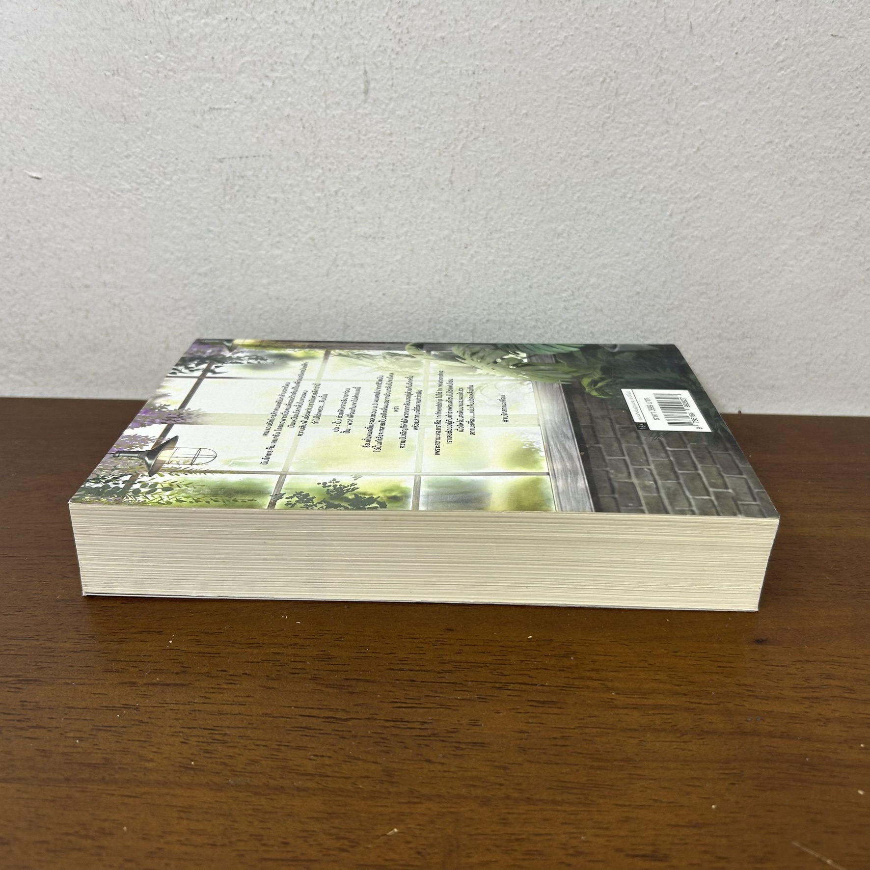 [YAOI] End love จบรักสถานะเพื่อน ... Run(END) (มือสอง) นิยายวาย B2S