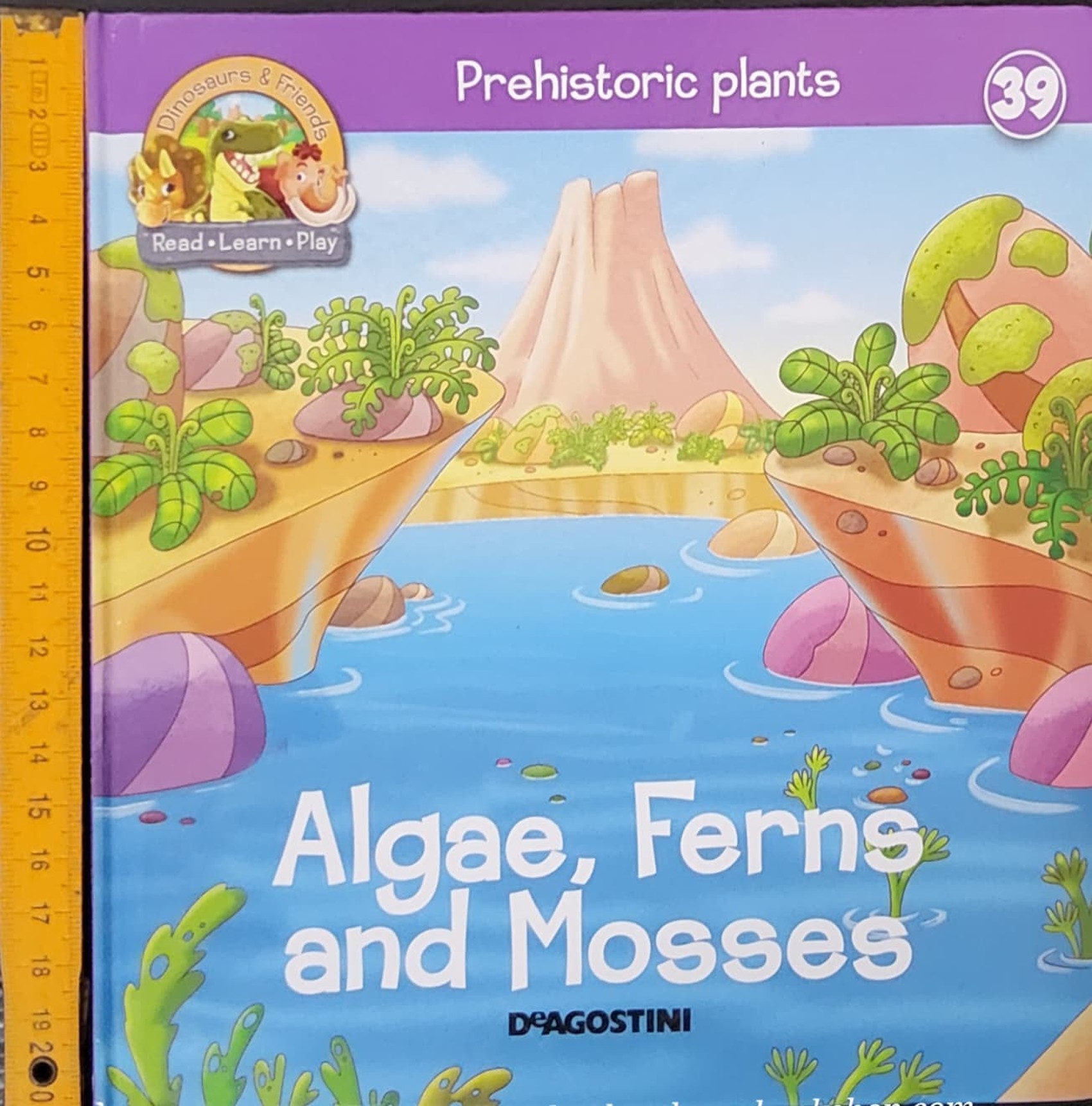 หนังสือนิทานปกแข็ง** 🍅🍓DINOSAURS&FRIENDS READ.LEARN.PLAY:PREHISTORIC PLANTS ALGAE,FERNS AND MOSSES #39
