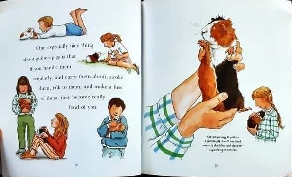 หนังสือนิทานปกอ่อน ** 🍅🍓I Love Guinea-Pigs by Dick King-Smith