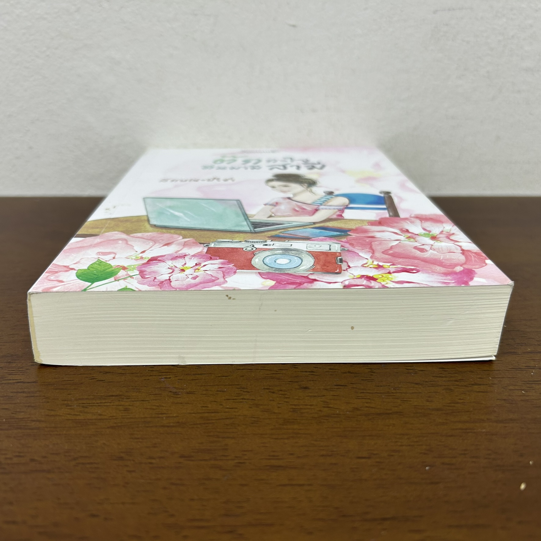 ต๊กกะใจตื่นมามีสามี ... ลักษณะปรีชา (มือสอง) นิยาย โรแมนติก คำมัก