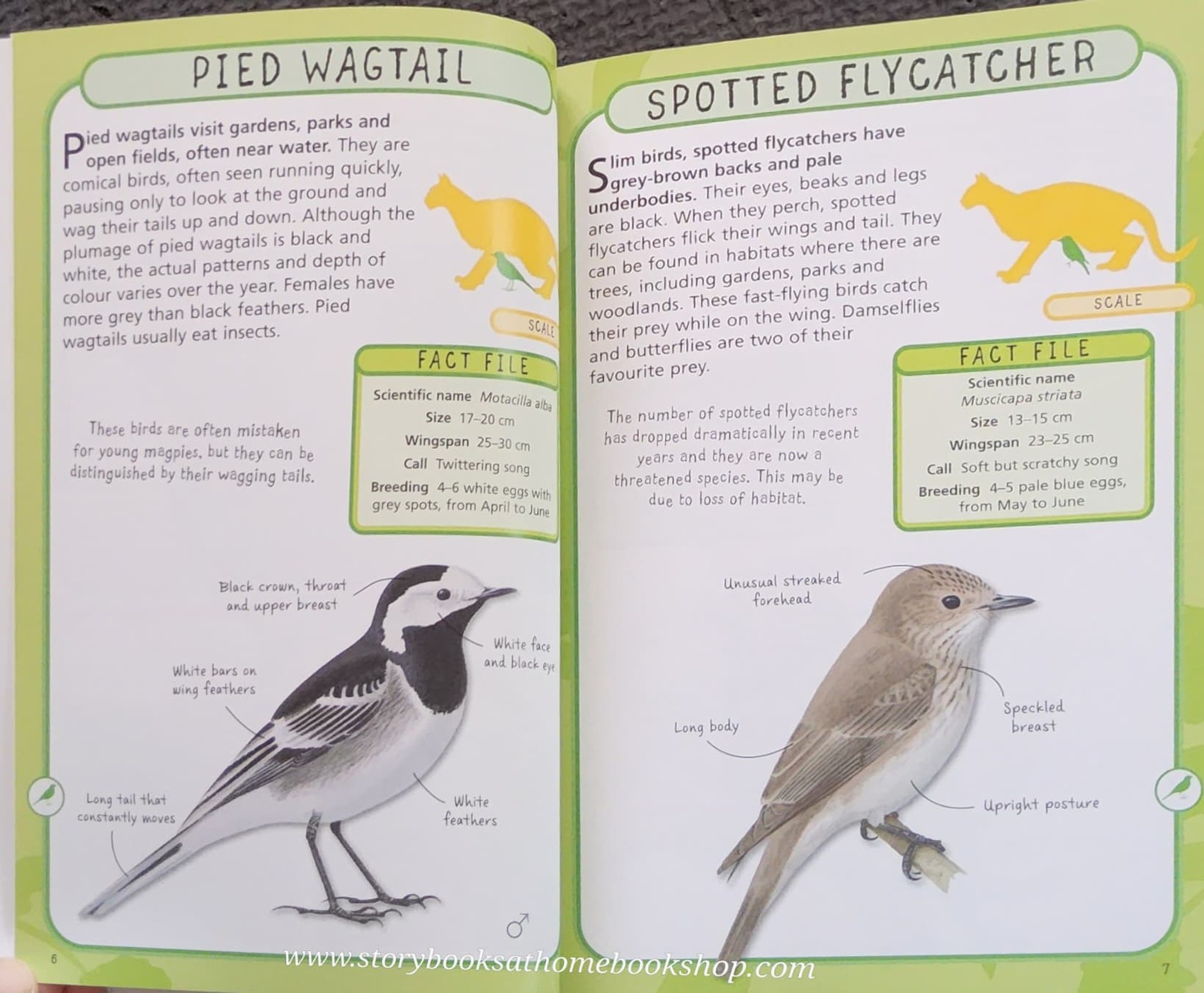 KNOWLEDGE BOOK** 🍅🍓 SPOT 50 GARDEN BIRDS HOW TO IDENTIFY 50 SPECIES