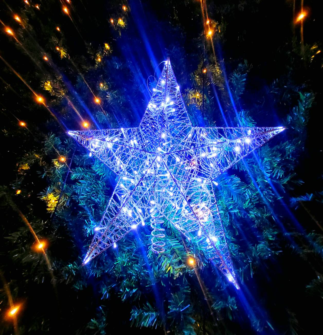 ดาวคริสต์มาส"ดาวยอดมีไฟ"ใช้ต้นเท่าไหร่เลือกขนาดที่เหมาะสมนะครับ