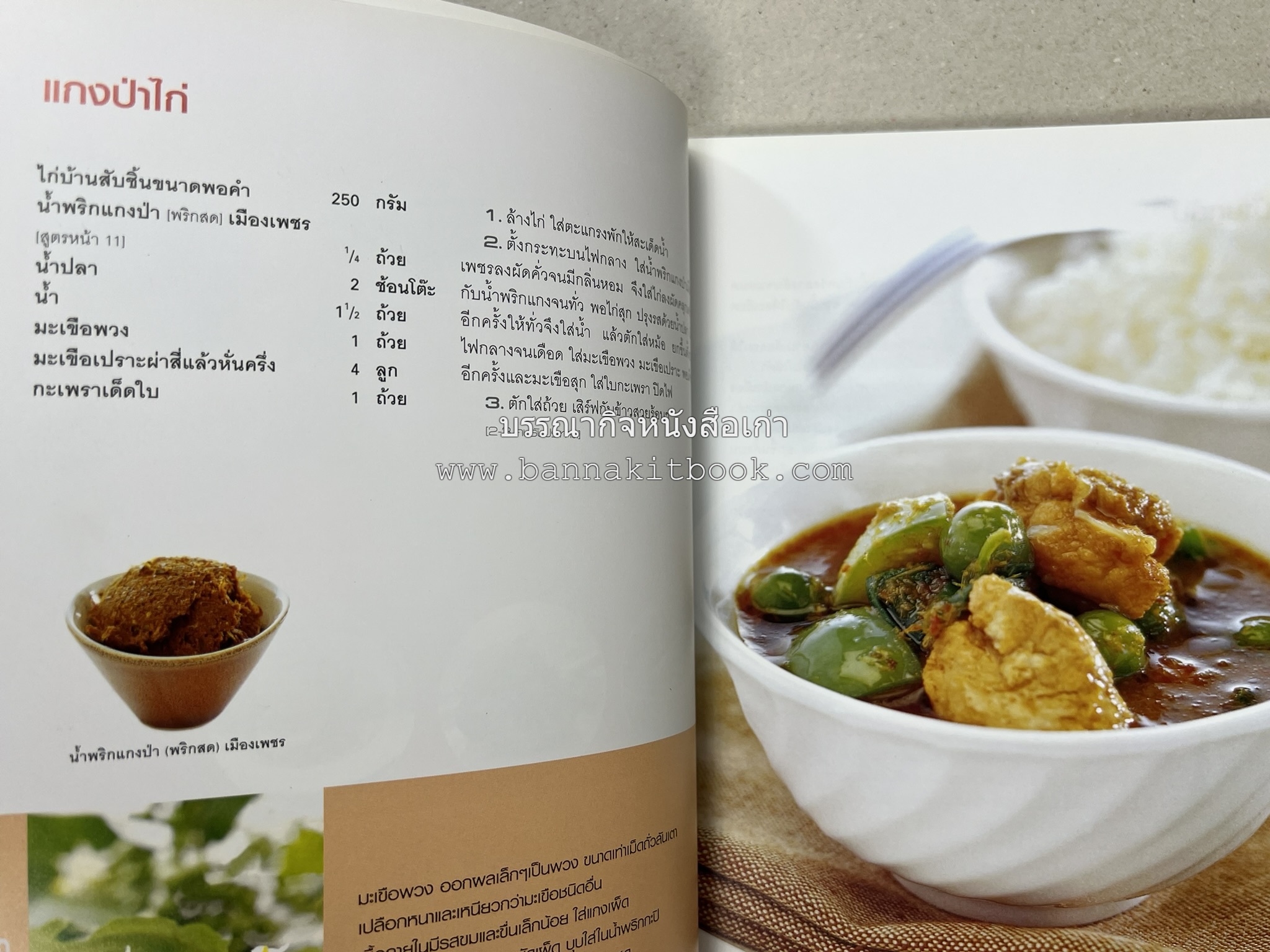 ข้าวแกงเป็นอาชีพ โดย : สำนักพิมพ์แสงแดด.