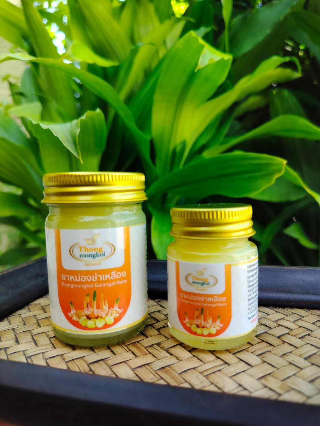 ยาหม่องข่าเหลือง ทองมงคล ขนาด 50 กรัม (Thongmongkol Galangal Balm 50 gram)