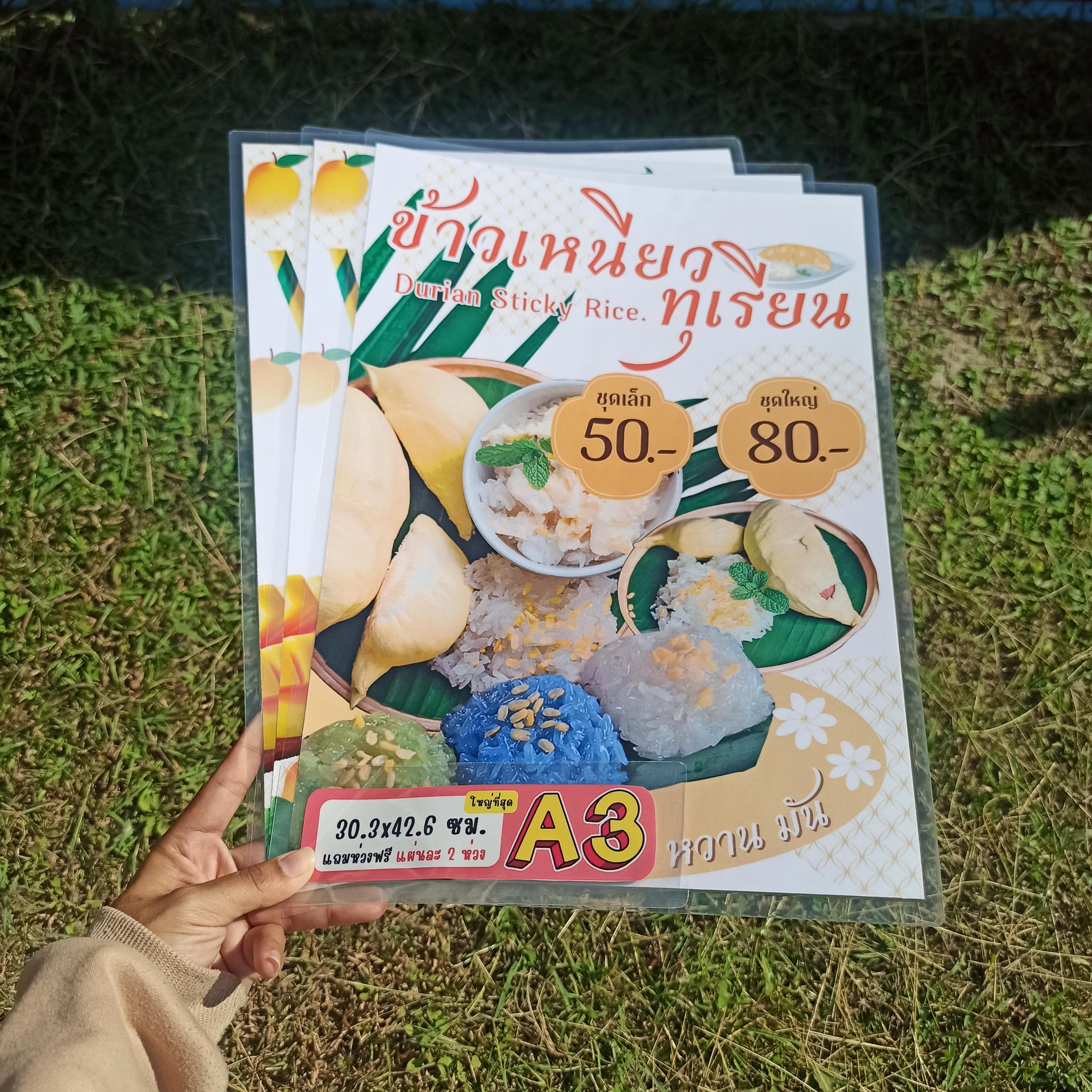 ชุดป้ายเมนู A3 ขนมหวาน & เครื่องดื่ม 2 แผ่น | ข้าวเหนียวทุเรียน, น้ำมะม่วงปั่น | เพิ่มยอดขายร้านของคุณทันที! | รหัส 4087