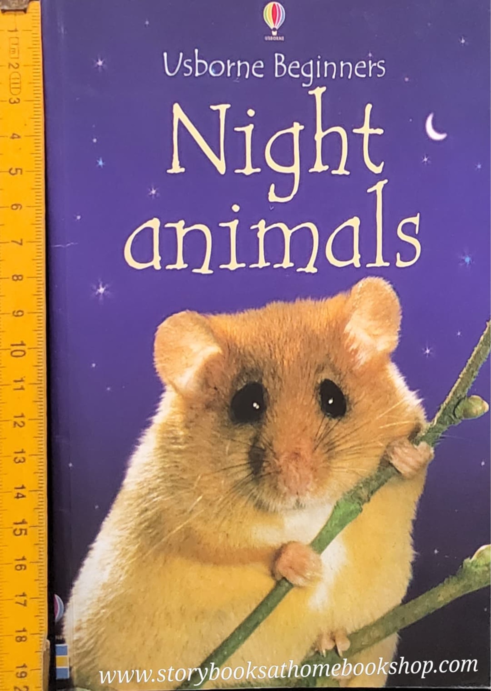 KNOWLEDGE BOOK** 🍅🍓USBORNE BEGINNINGS NIGHT ANIMALS