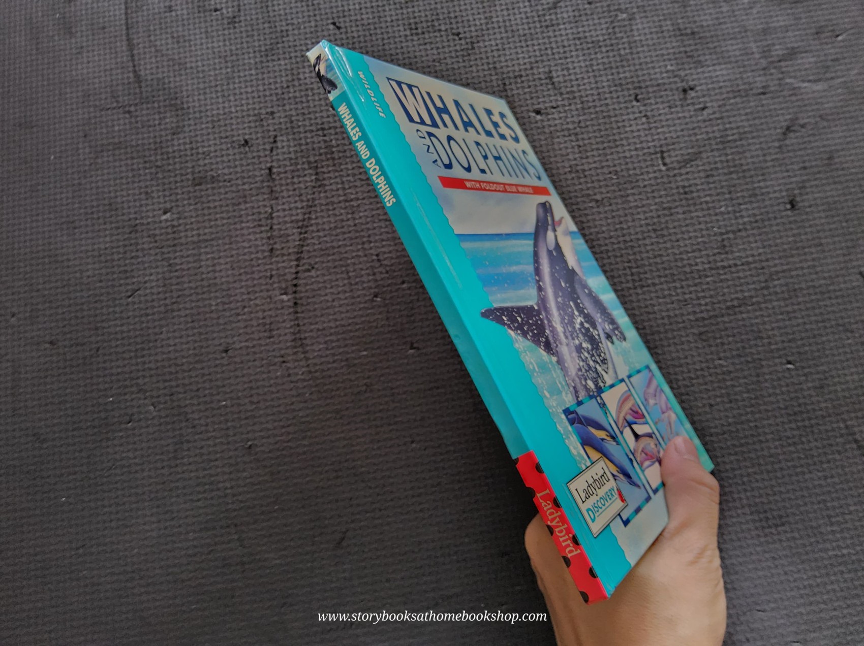 KNOWLEDGE BOOK** ♥️♥️WHALES AND DOPHINS (WITH FOLDOUT BLUE WHALE)