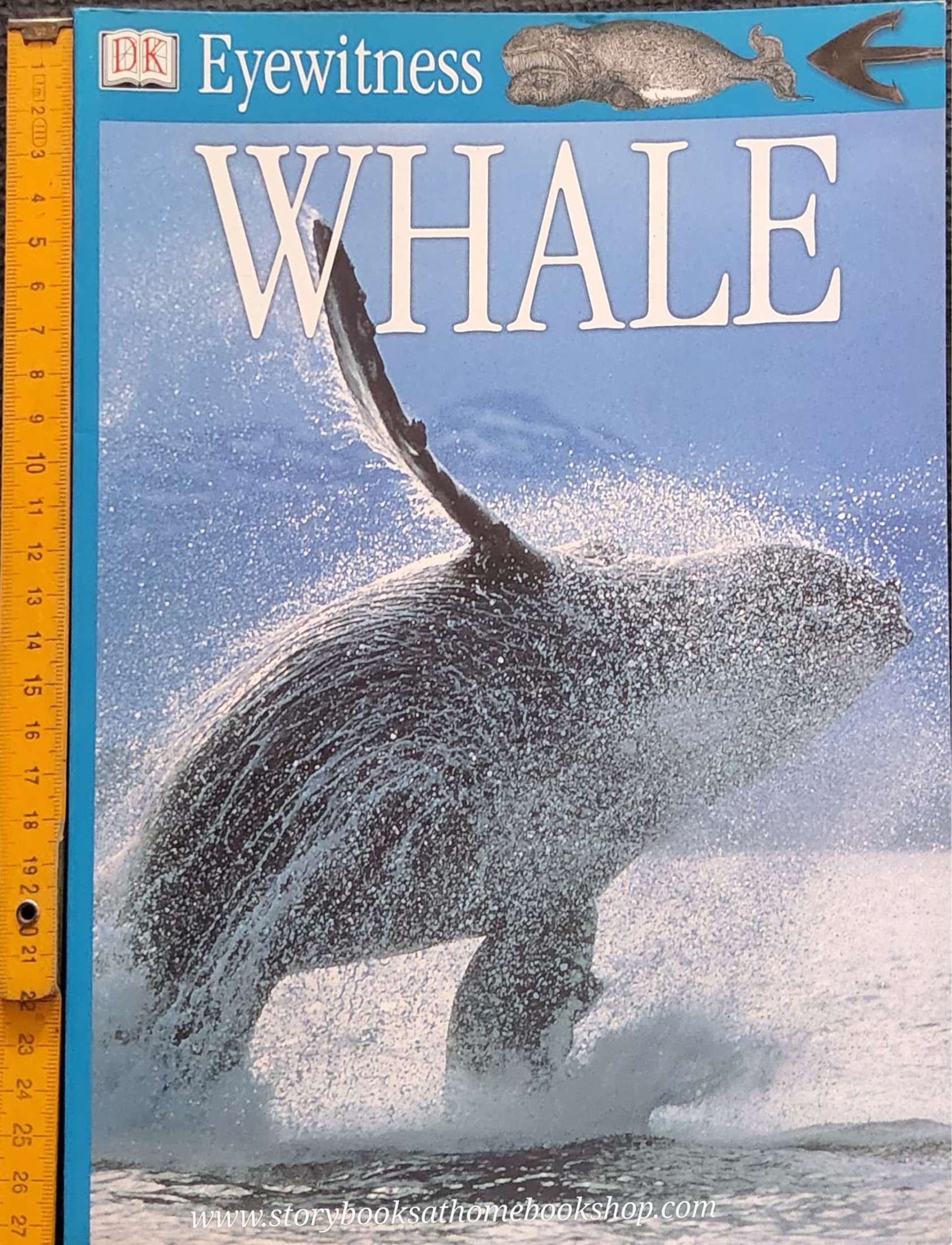 Knowledge Book ** 🍓🍓DK EYEWITHNESS WHALE