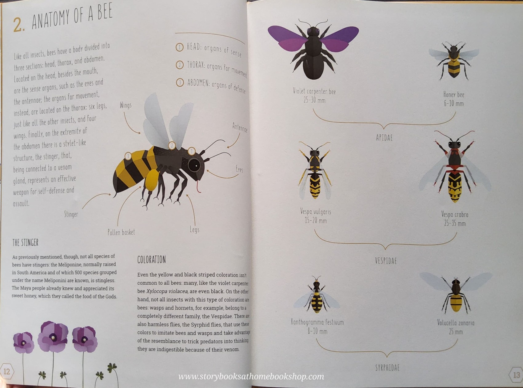 หนังสือนิทานปกแข็ง** 🍅🍓THE WORLD OF BEES