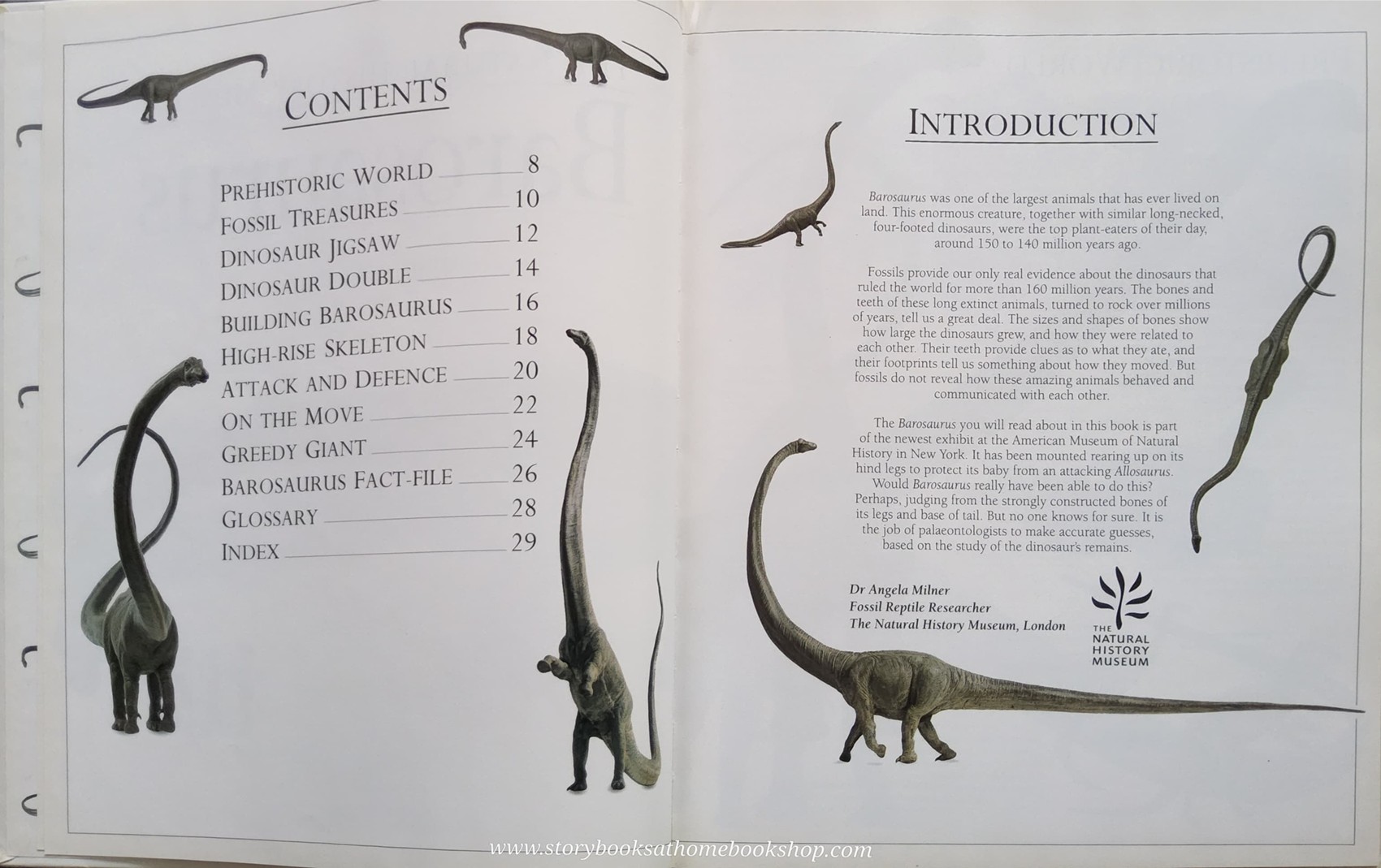 KNOWLEDGE BOOK** ♥️THE NATURAL HISTORY MUSUEM BAROSAURUS
