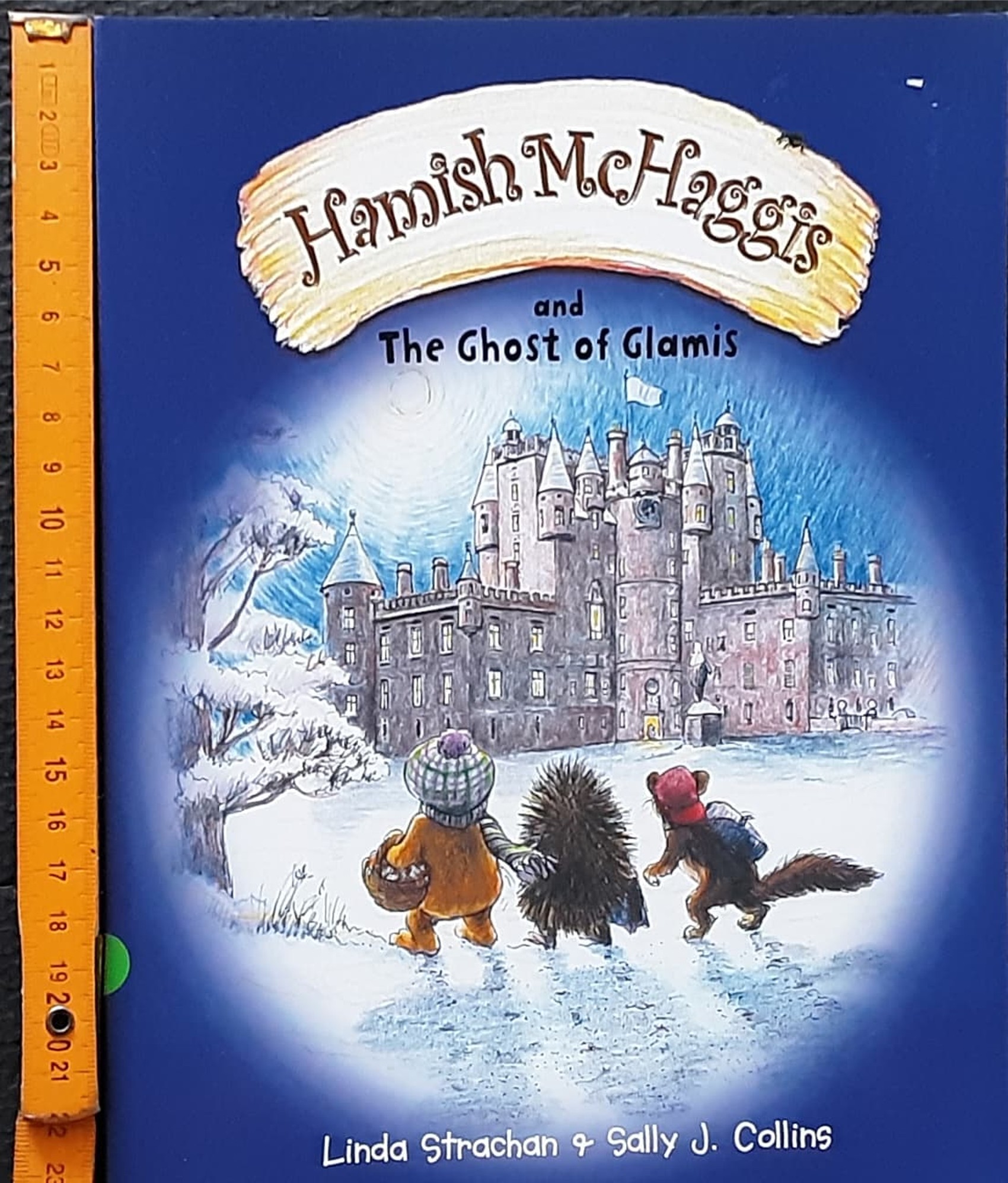 หนังสือนิทานปกอ่อน** 🍅🍓Hamish McHaggis and The GHOST OF GLAMIS
